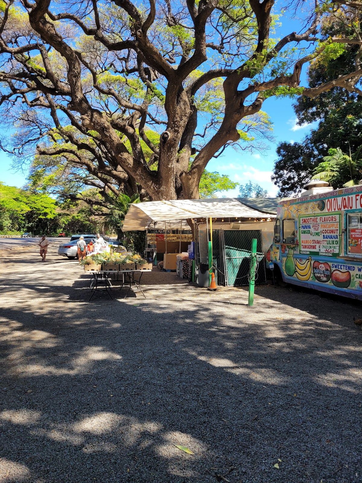Photo 7 of Olowalu Juice Stand in Olowalu, Maui