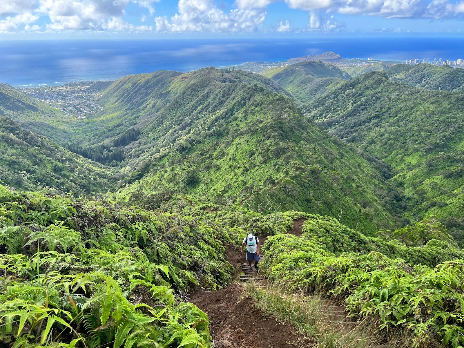 Photo 1 of Wiliwilinui Ridge Trail in Kahala & Waialae, Oahu