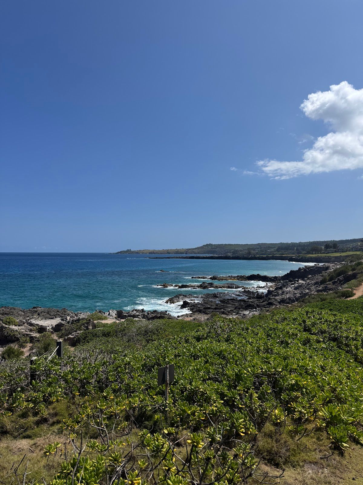 Photo 1 of Kapalua Bay Villas in Kapalua, Maui