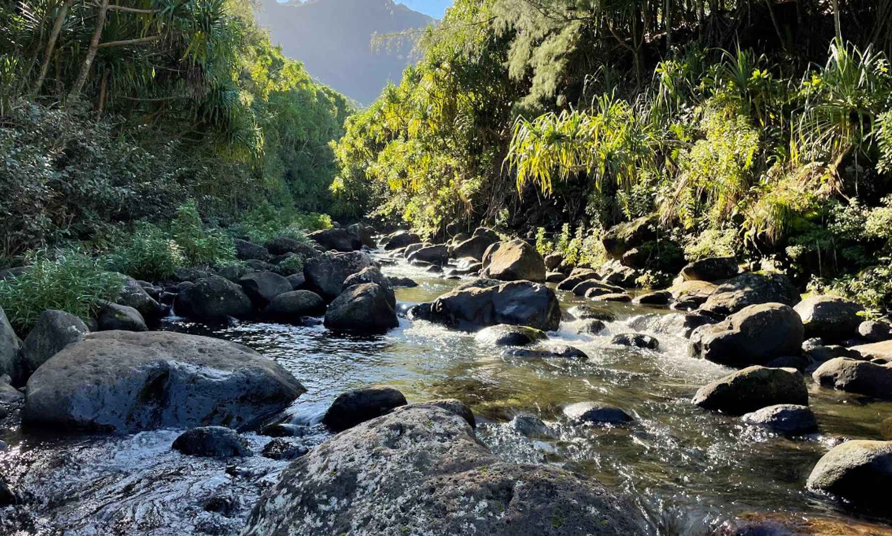Kalalau Trail in Haena, Kaua‘i photo 8
