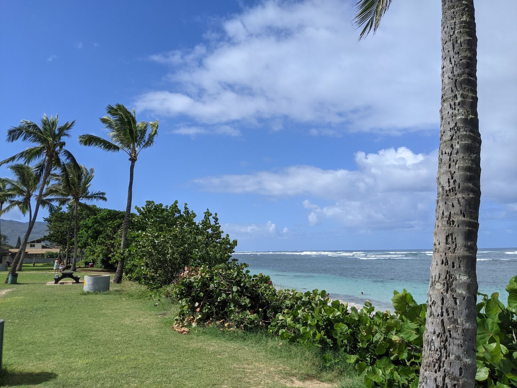 Photo 4 of ʻĀweoweo Beach Park in Waialua & Mokulēʻia, Oahu