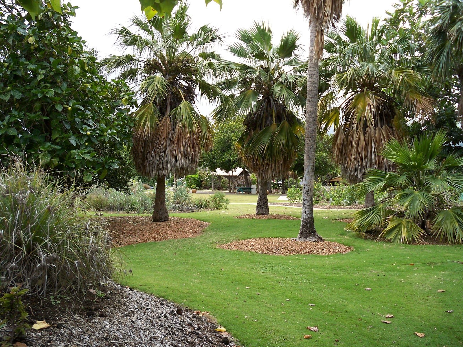 Photo 3 of Maui Nui Botanical Gardens in Kahului, Maui