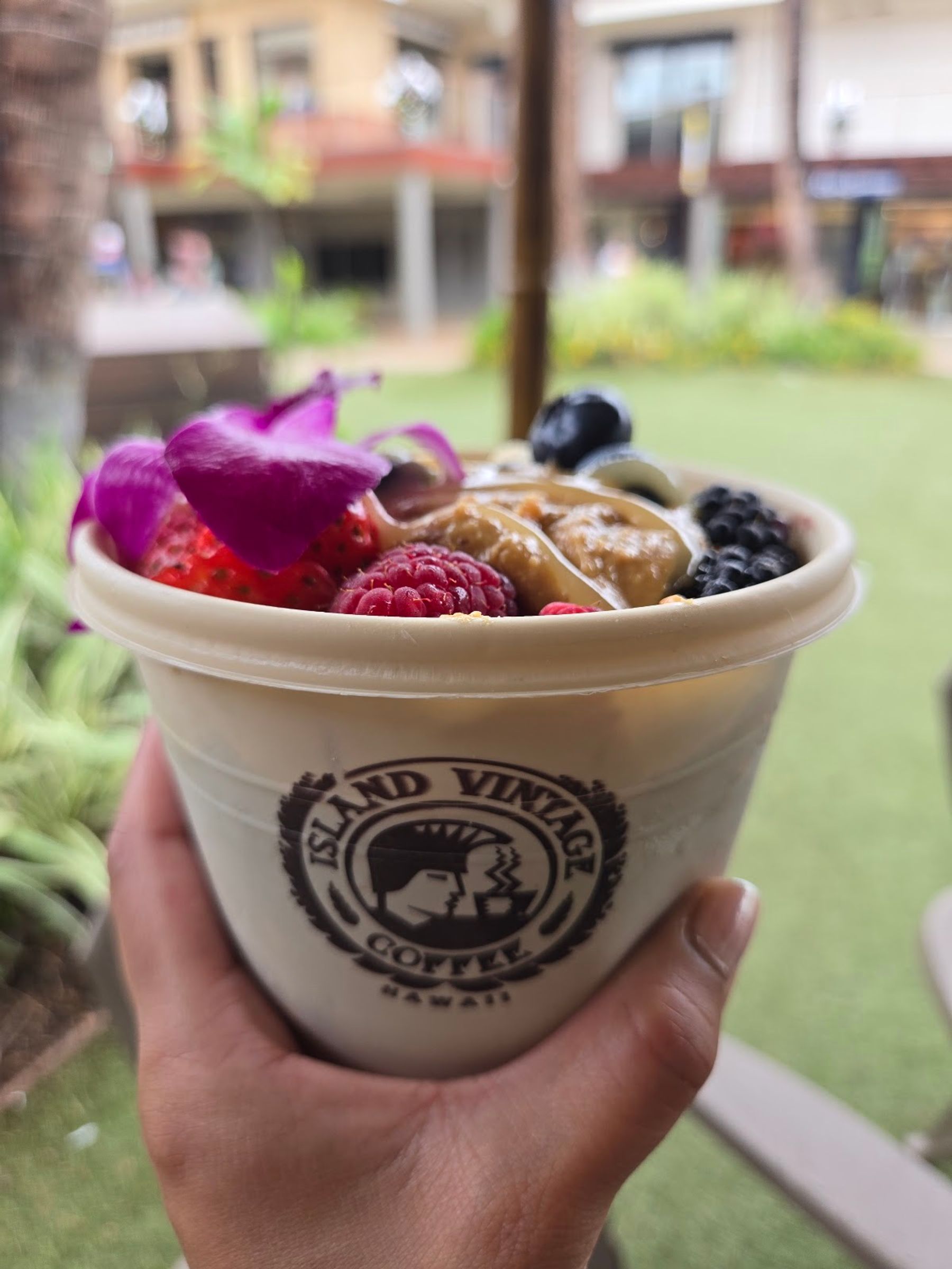 Photo 9 of Island Vintage Coffee Whalers Village in Kāʻanapali, Maui