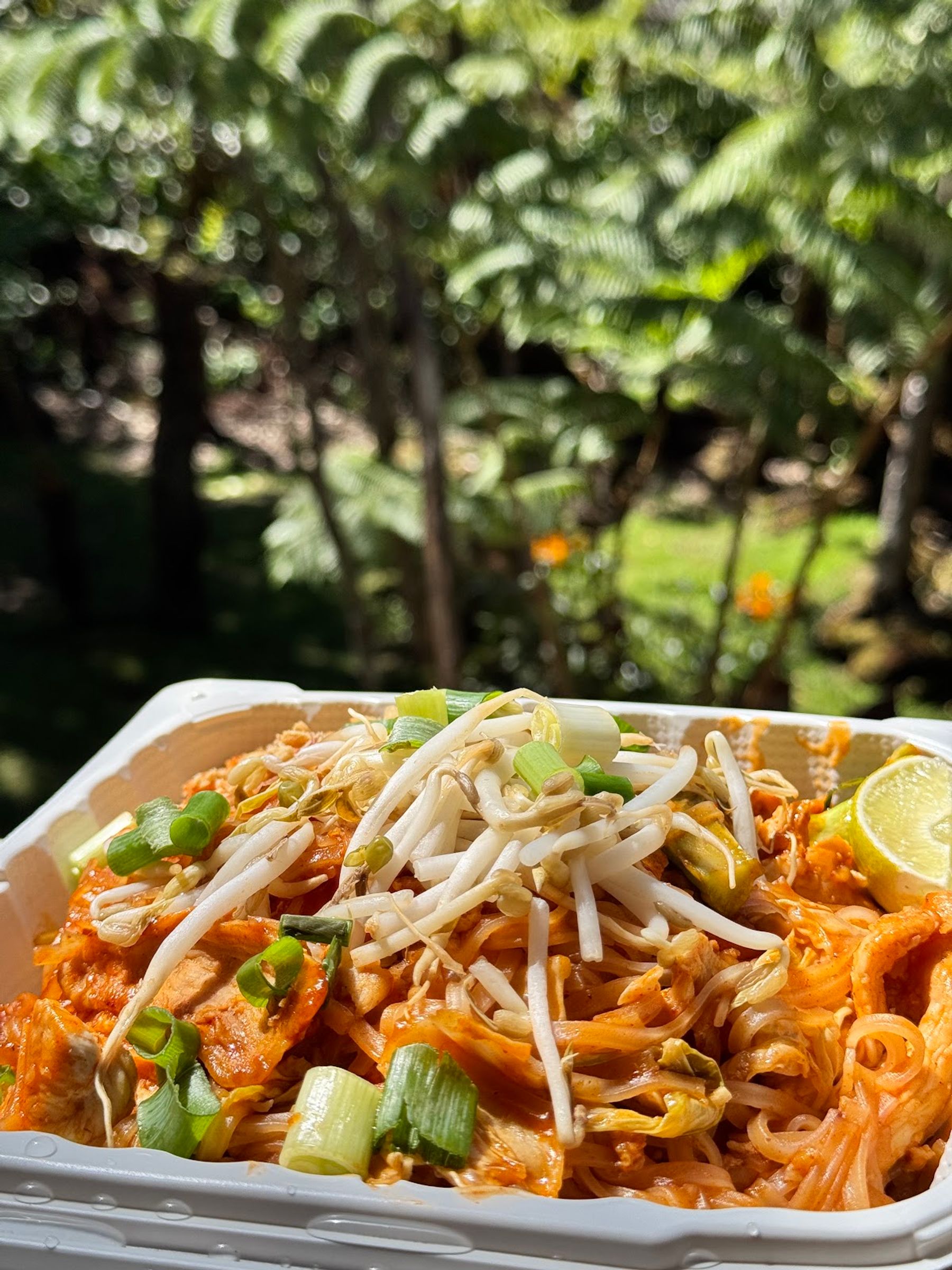 Photo 4 of Tuk Tuk Thai Food in Volcano, Big Island