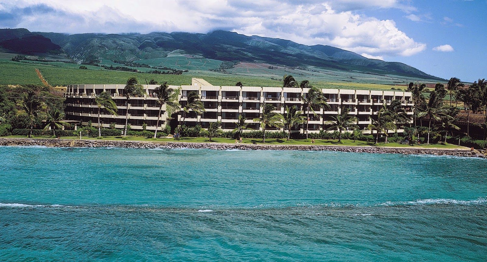 Photo 5 of Castle Paki Maui in Kapalua, Maui