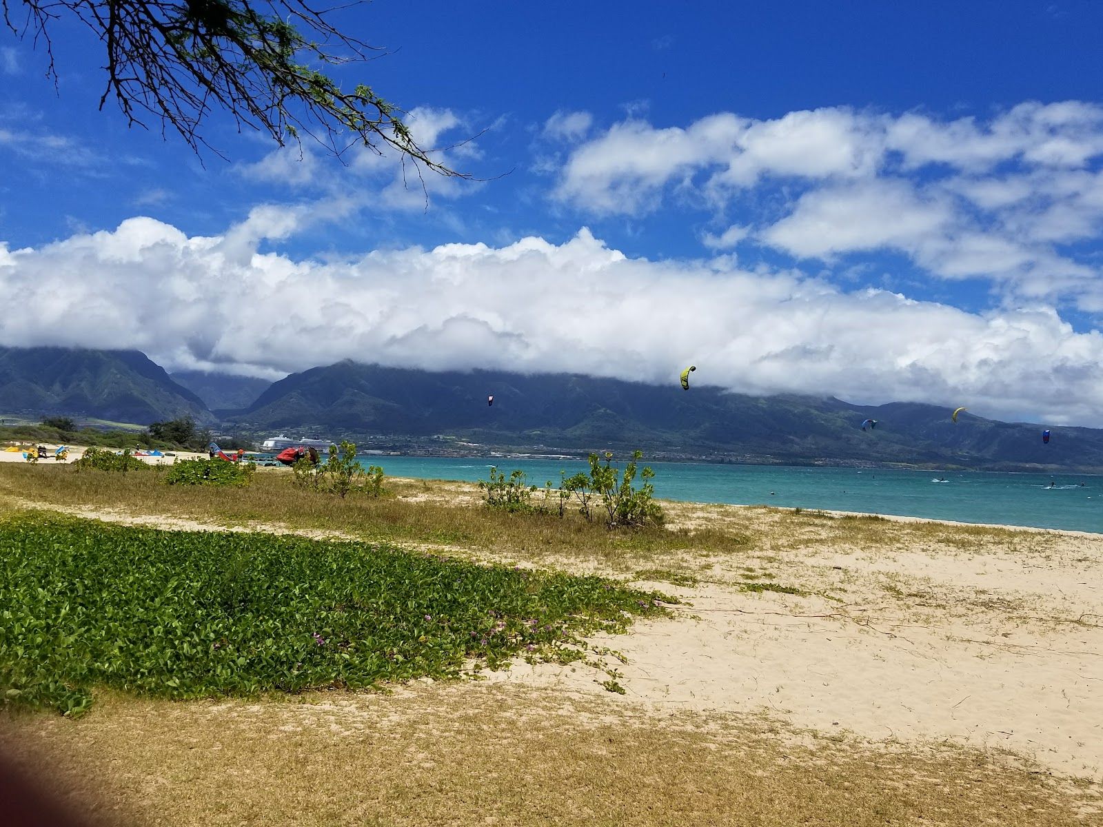 Photo 8 of Kanaha Beach Park in Kahului, Maui