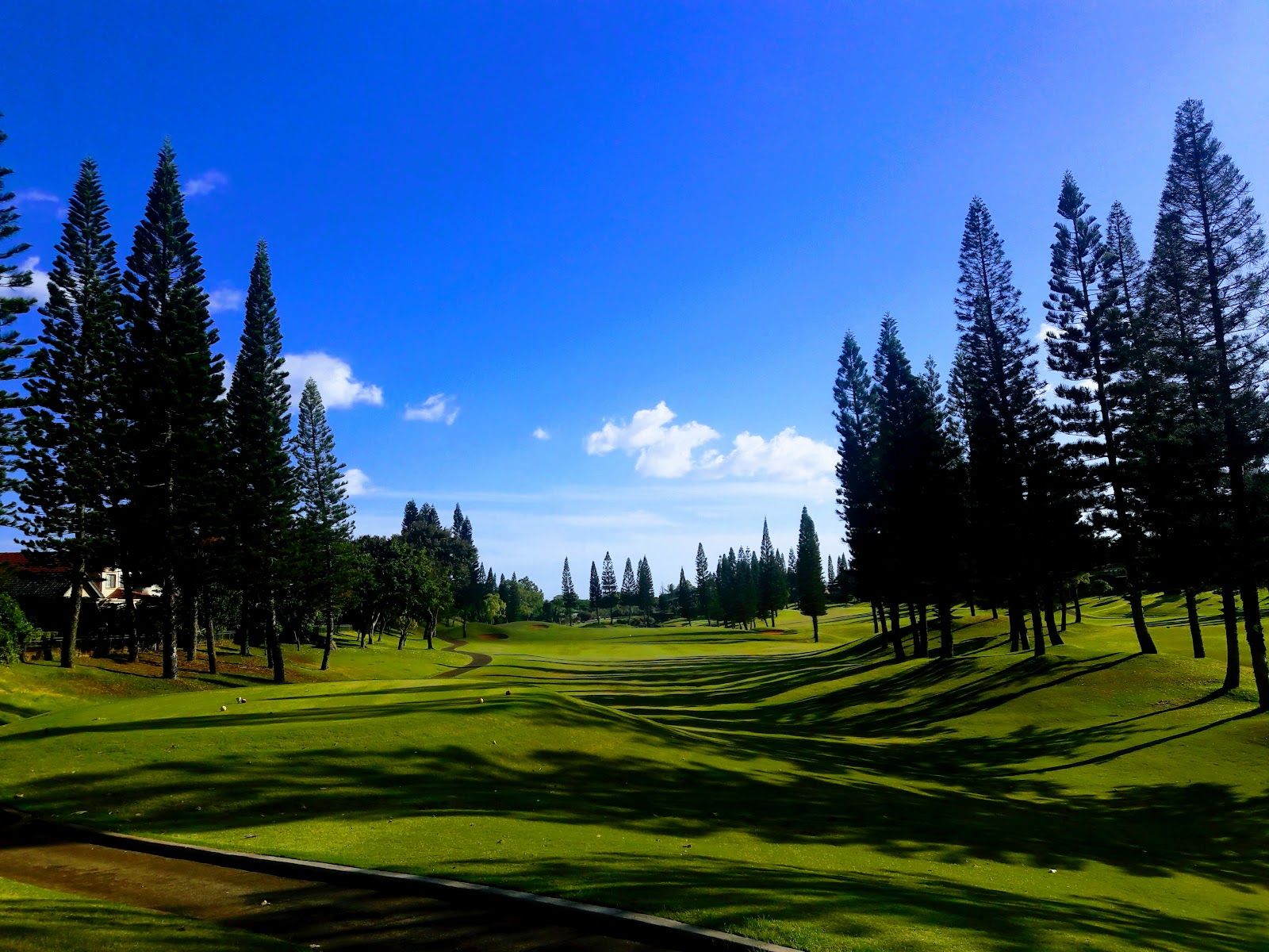 Photo 8 of Patsy T. Mink Central Oahu Regional Park in Waipahu & Kunia, Oahu