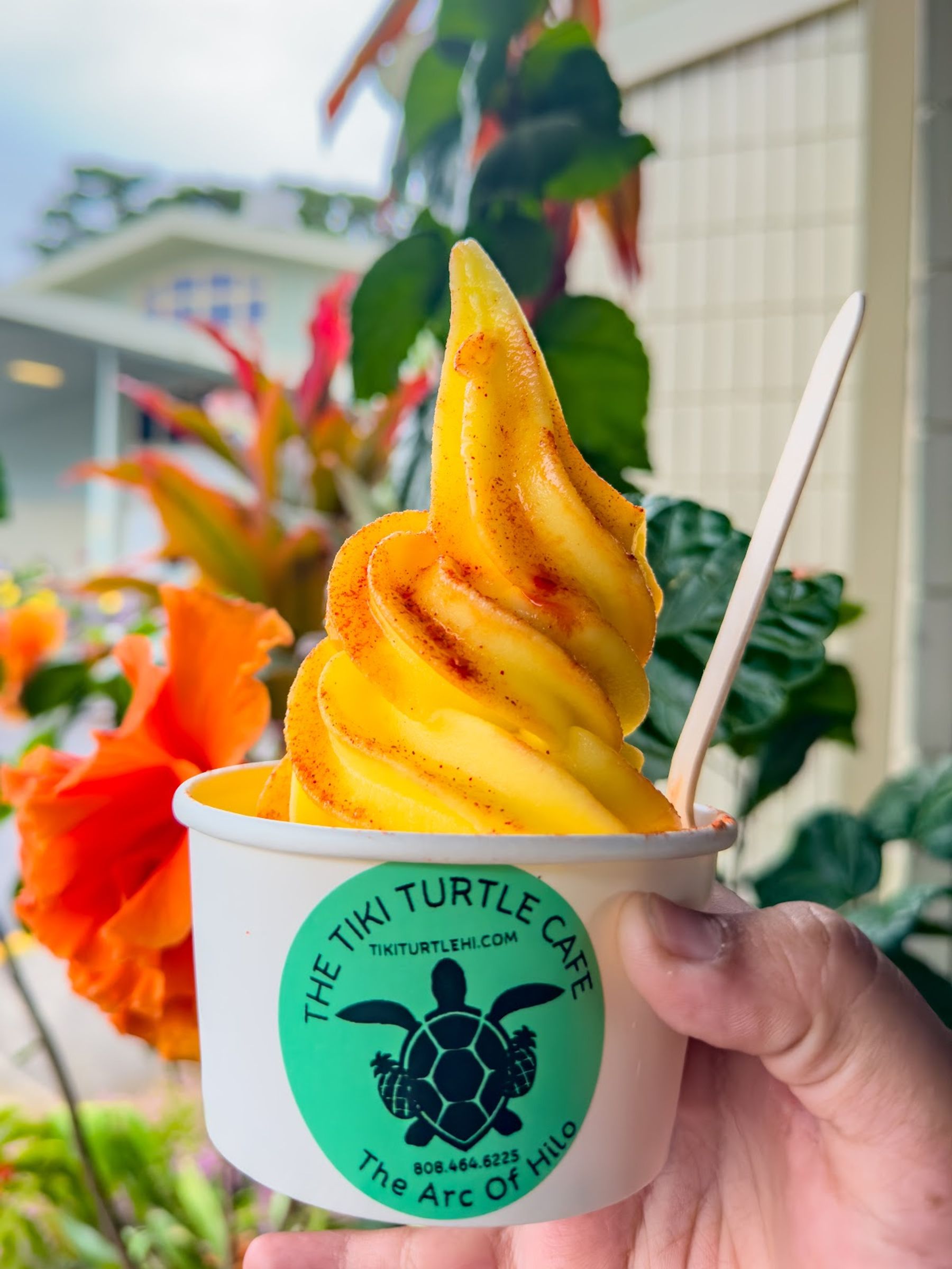 Photo 2 of The Tiki Turtle Cafe in Hilo, Big Island