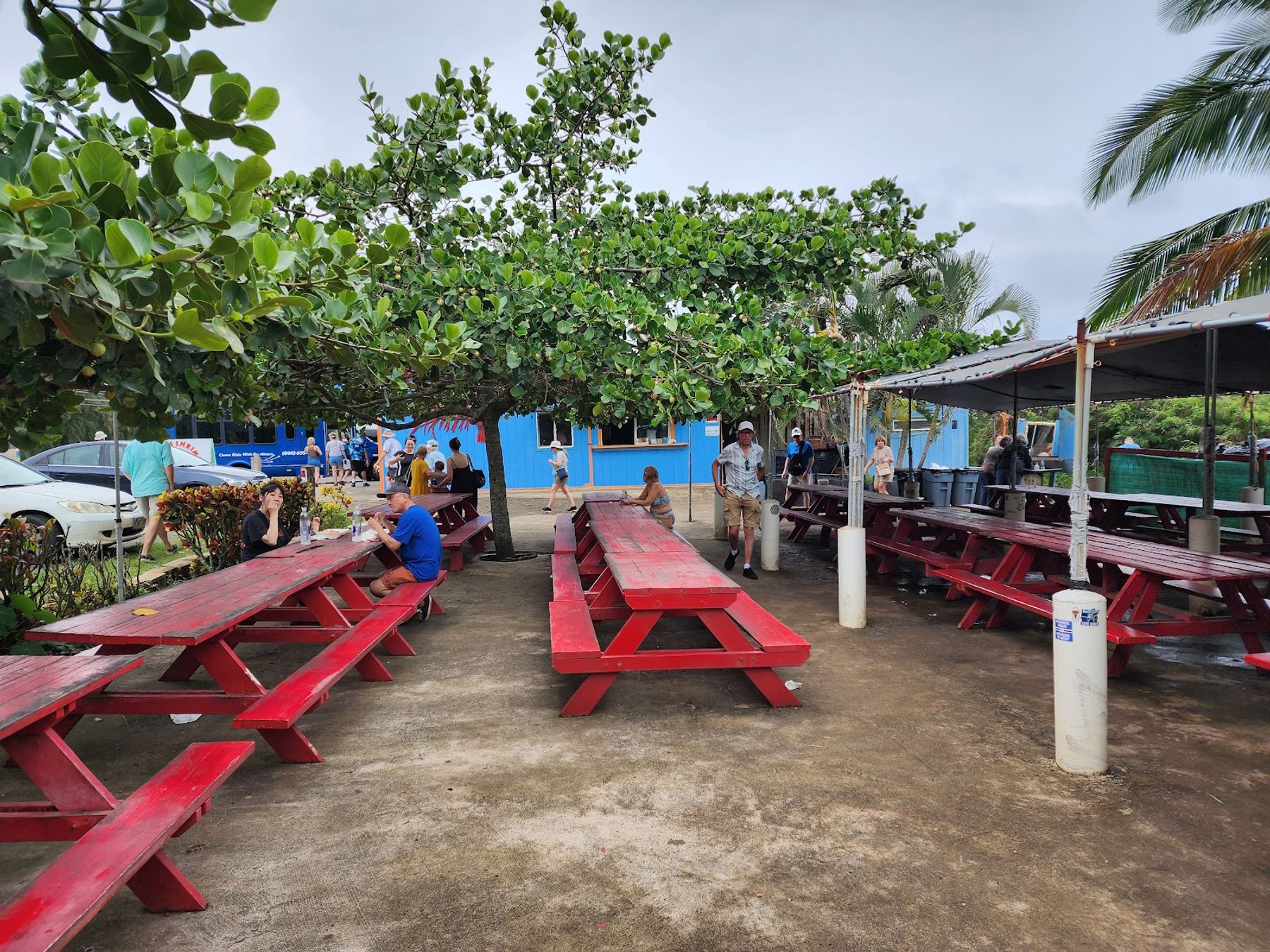 Photo 8 of Aloha Shrimp in Kualoa & North Windward, Oahu
