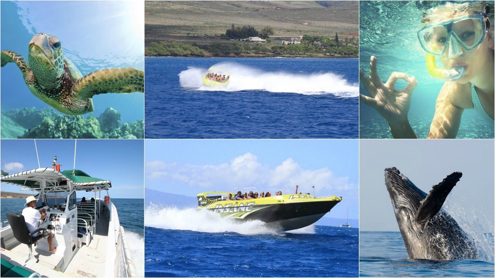 Photo 1 of Kaanapali Ocean Adventures in Kāʻanapali, Maui