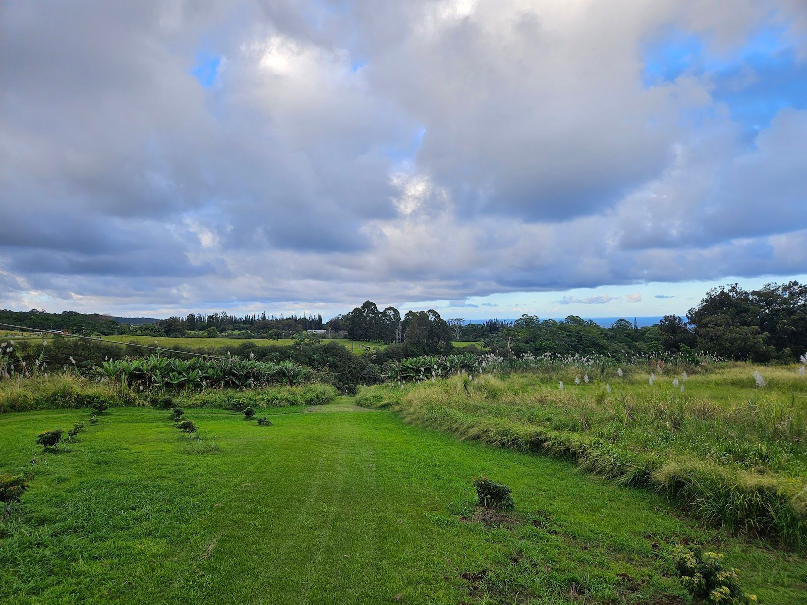 Photo 9 of Hawaii Zipline & Hiking Tours in Greater Hilo, Big Island