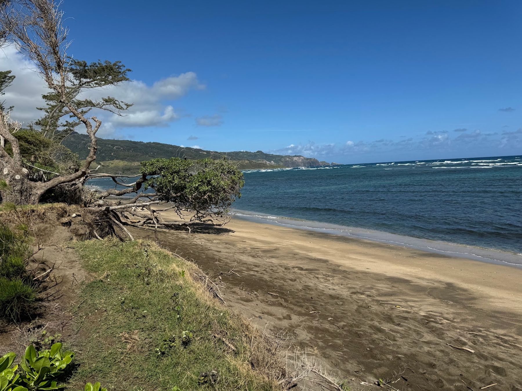 Photo 3 of Waiehu Municipal Golf Course in Wailuku, Maui