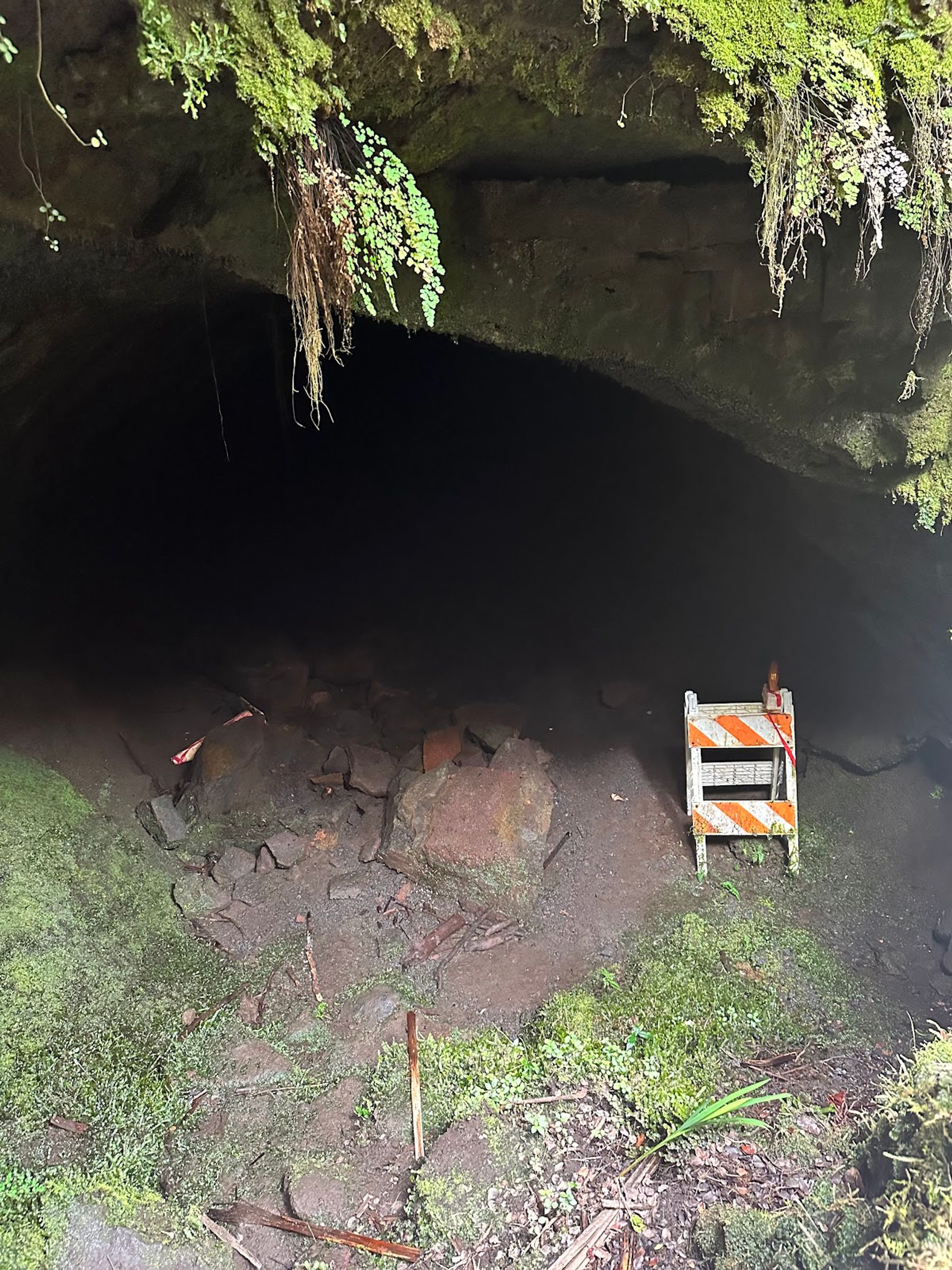 Photo 7 of Nāhuku Lava Tube in Volcano, Big Island