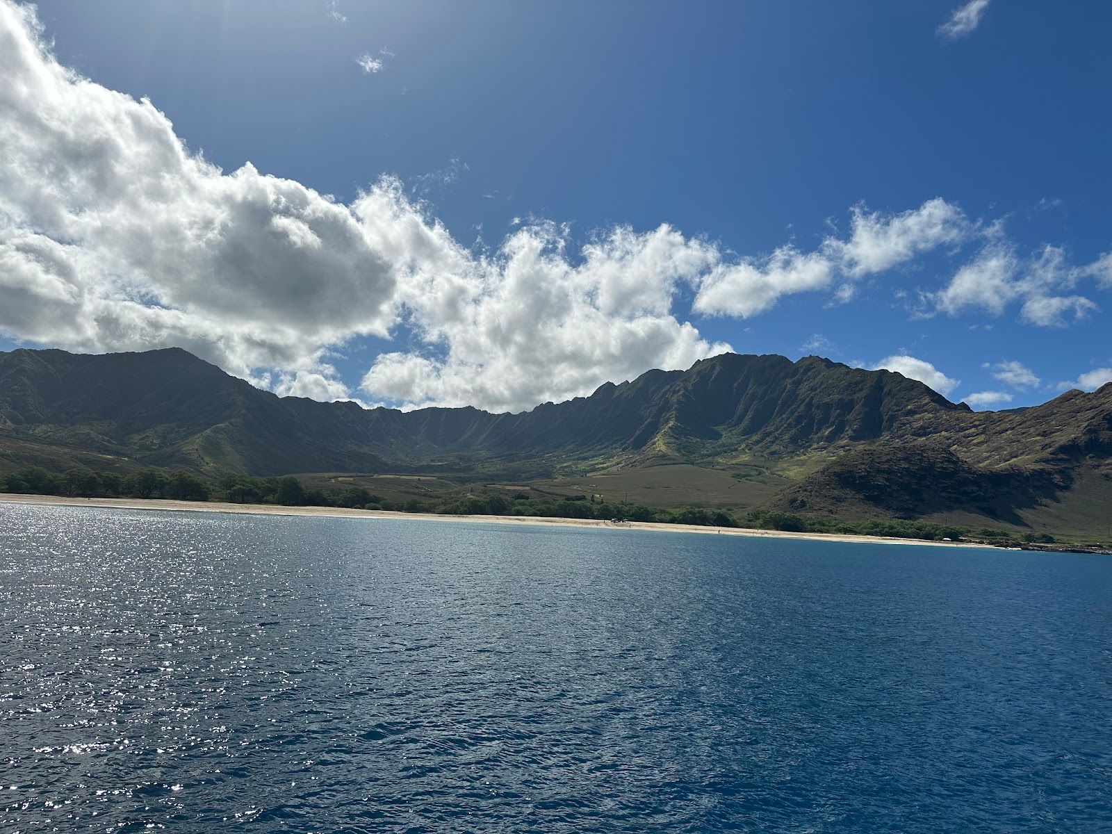 Photo 3 of Dolphins and You in Waikīkī, Oahu
