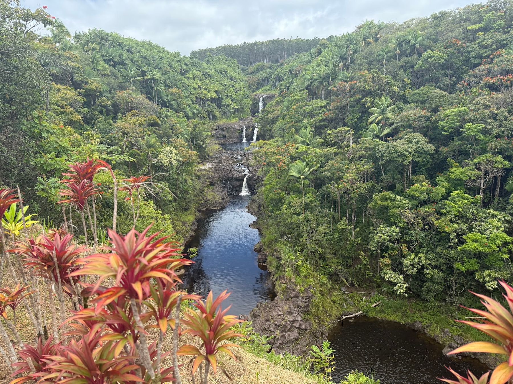 Photo 2 of The Umauma Experience in Greater Hilo, Big Island
