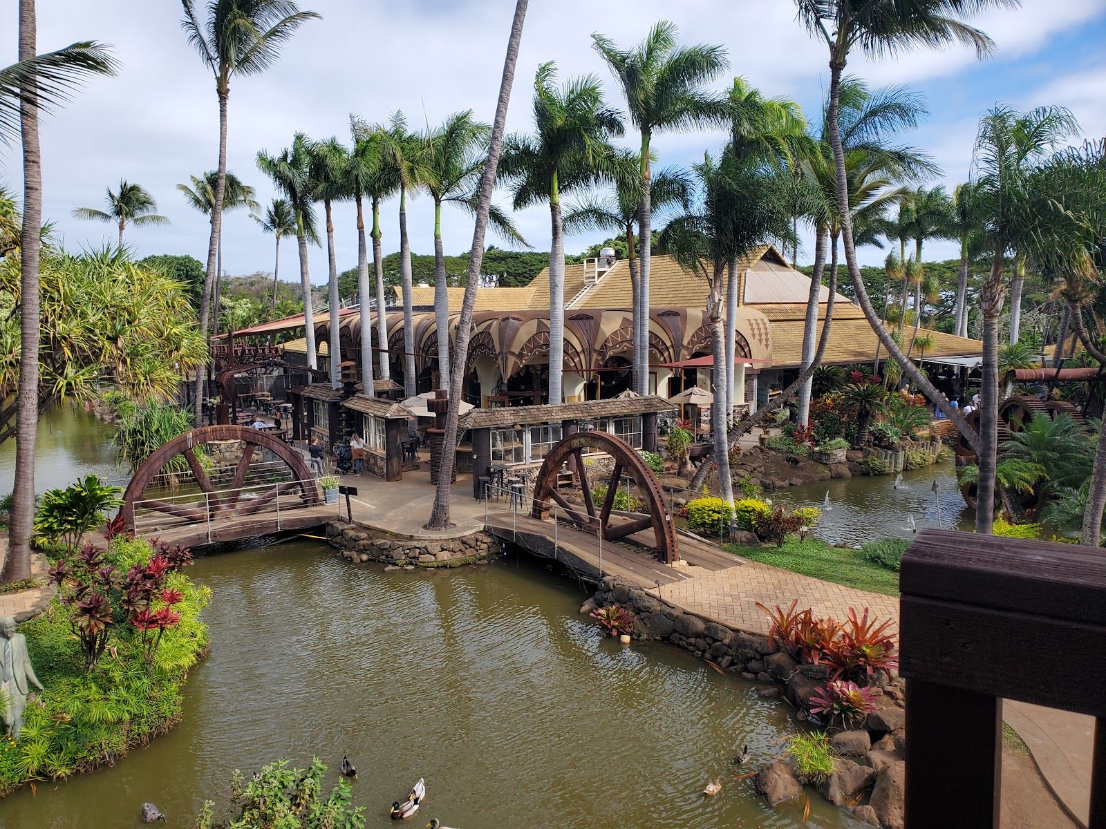Photo 7 of Maui Zipline Company in Wailuku, Maui