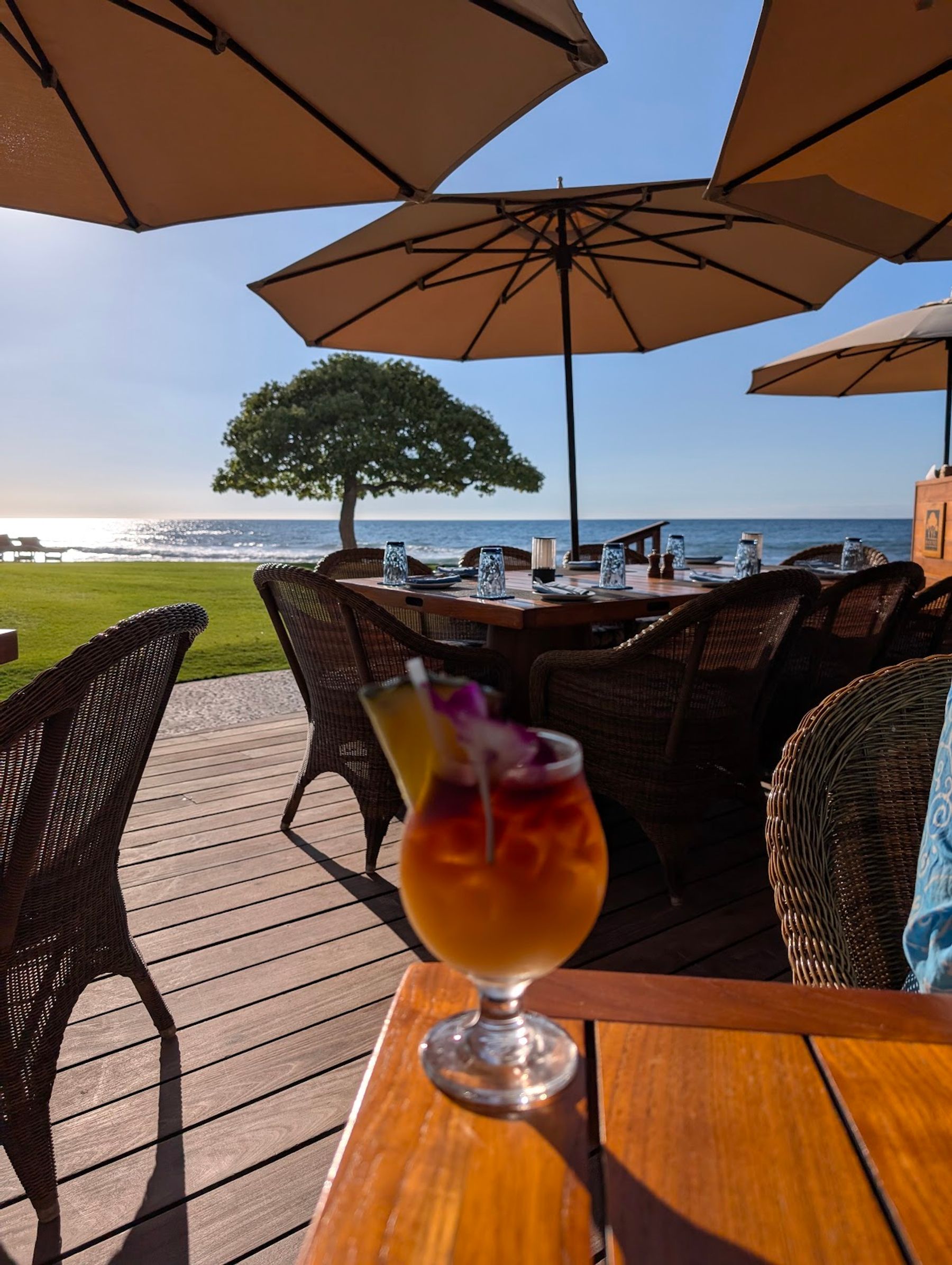 Photo 9 of Beach Tree Restaurant & Bar in Kailua-Kona, Big Island