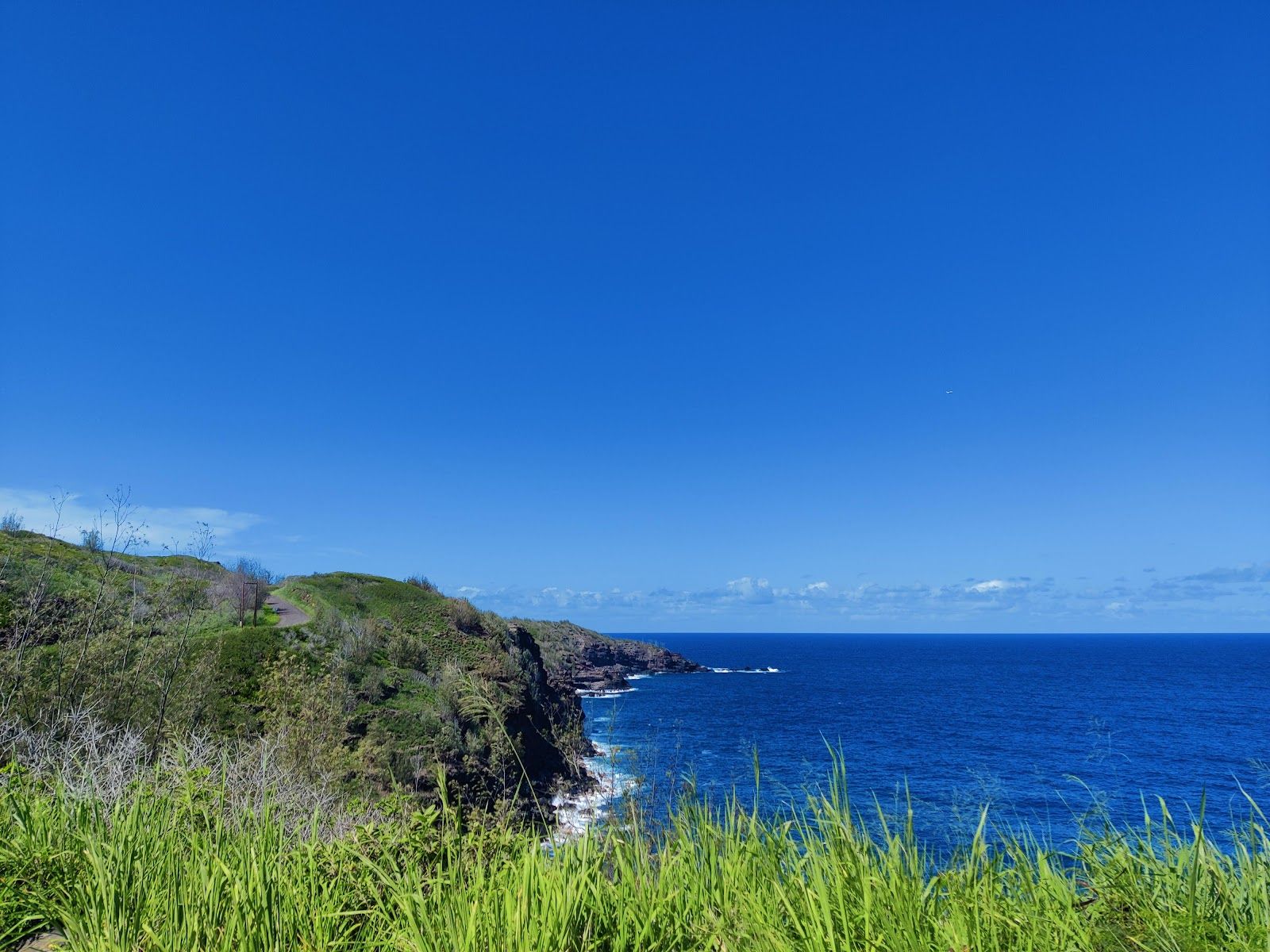Photo 3 of Braddah Chic's Stop in Wailuku, Maui