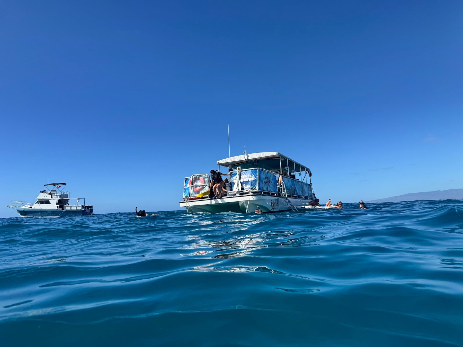 Photo 4 of Honolulu Snorkel Company in Ala Moana & Mōʻiliʻili, Oahu