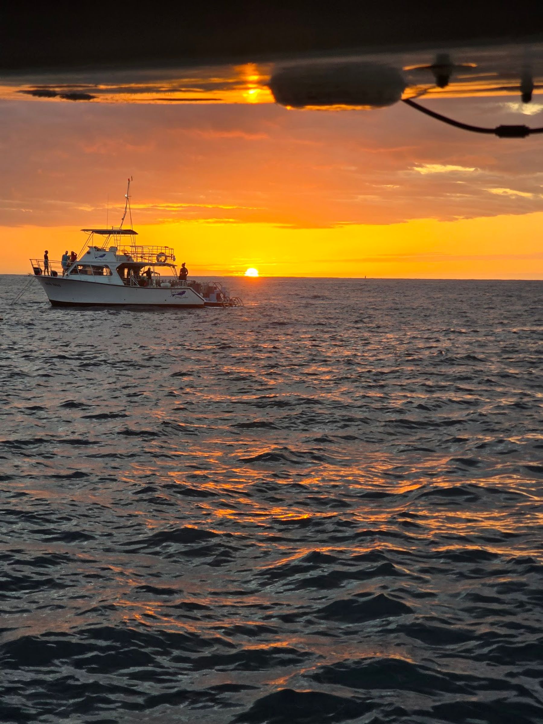 Photo 2 of Iruka Hawai‘i Dolphin and Manta Tours in Kailua-Kona, Big Island