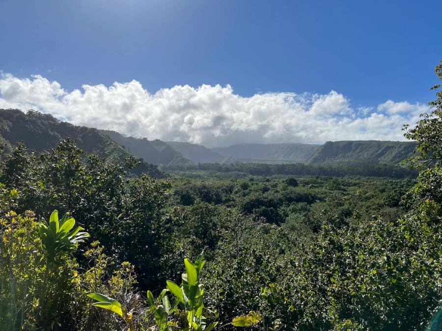 Photo 1 of Wailua Valley Lookout in Keʻanae-Nāhiku, Maui