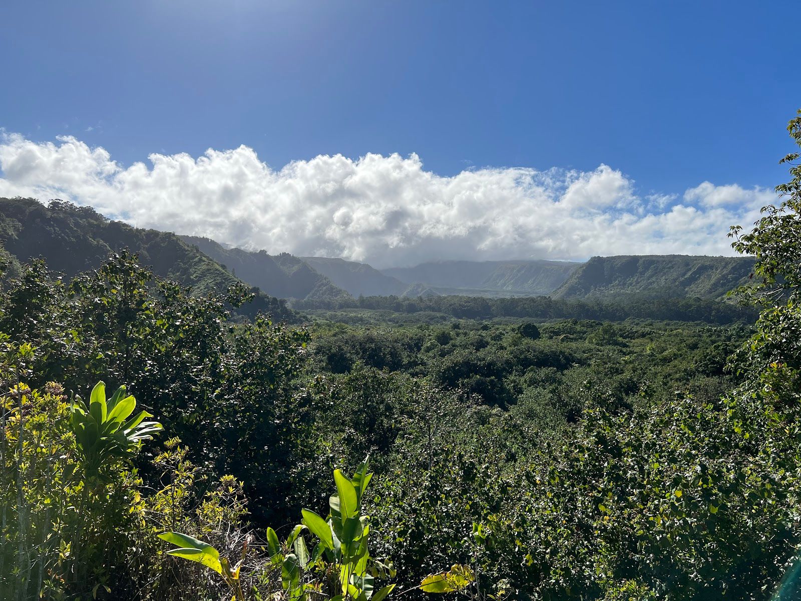 Photo 1 of Wailua Valley Lookout in Keʻanae-Nāhiku, Maui