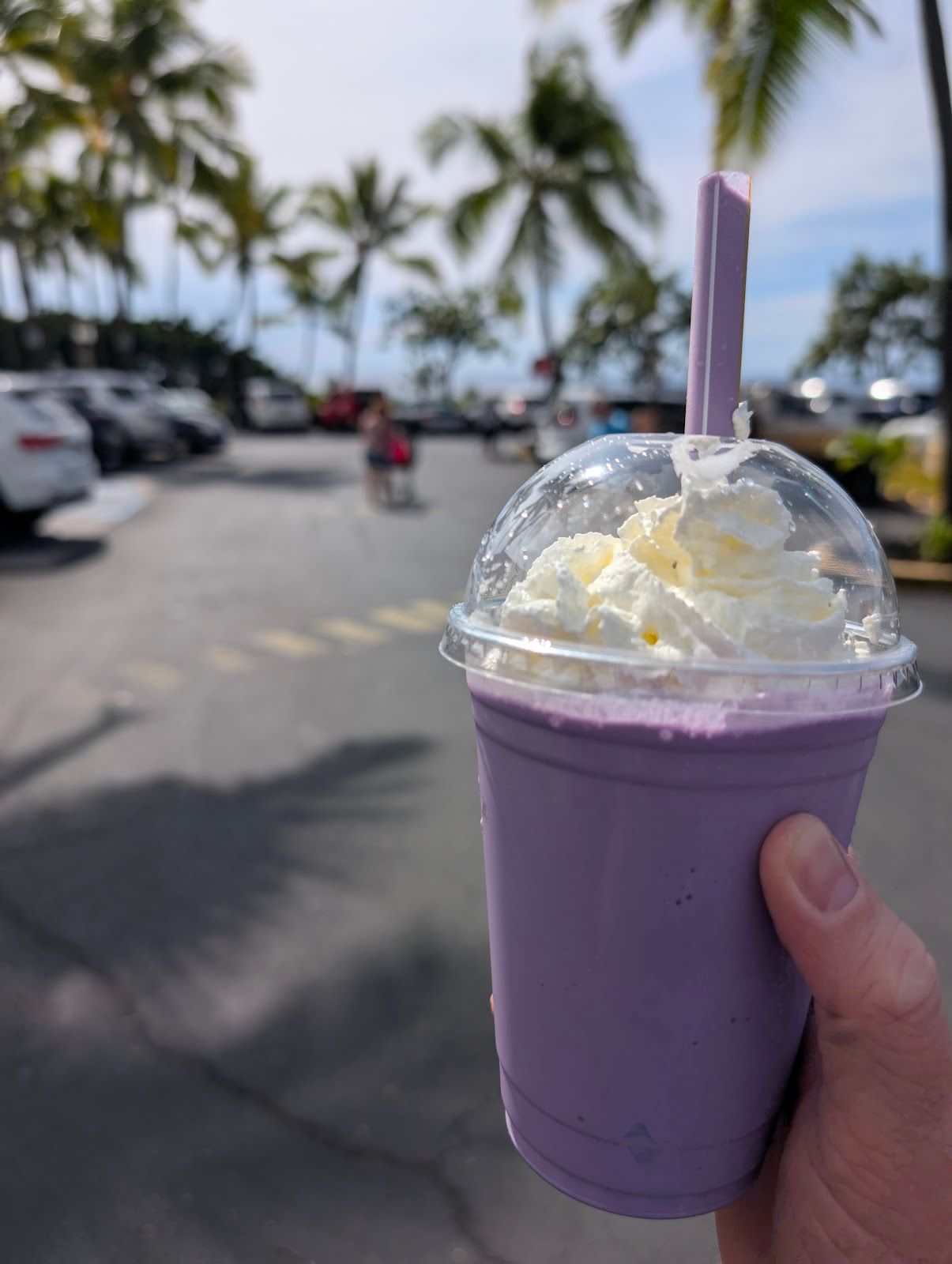 Photo 8 of Hawaiian Ice Cones in Kailua-Kona, Big Island