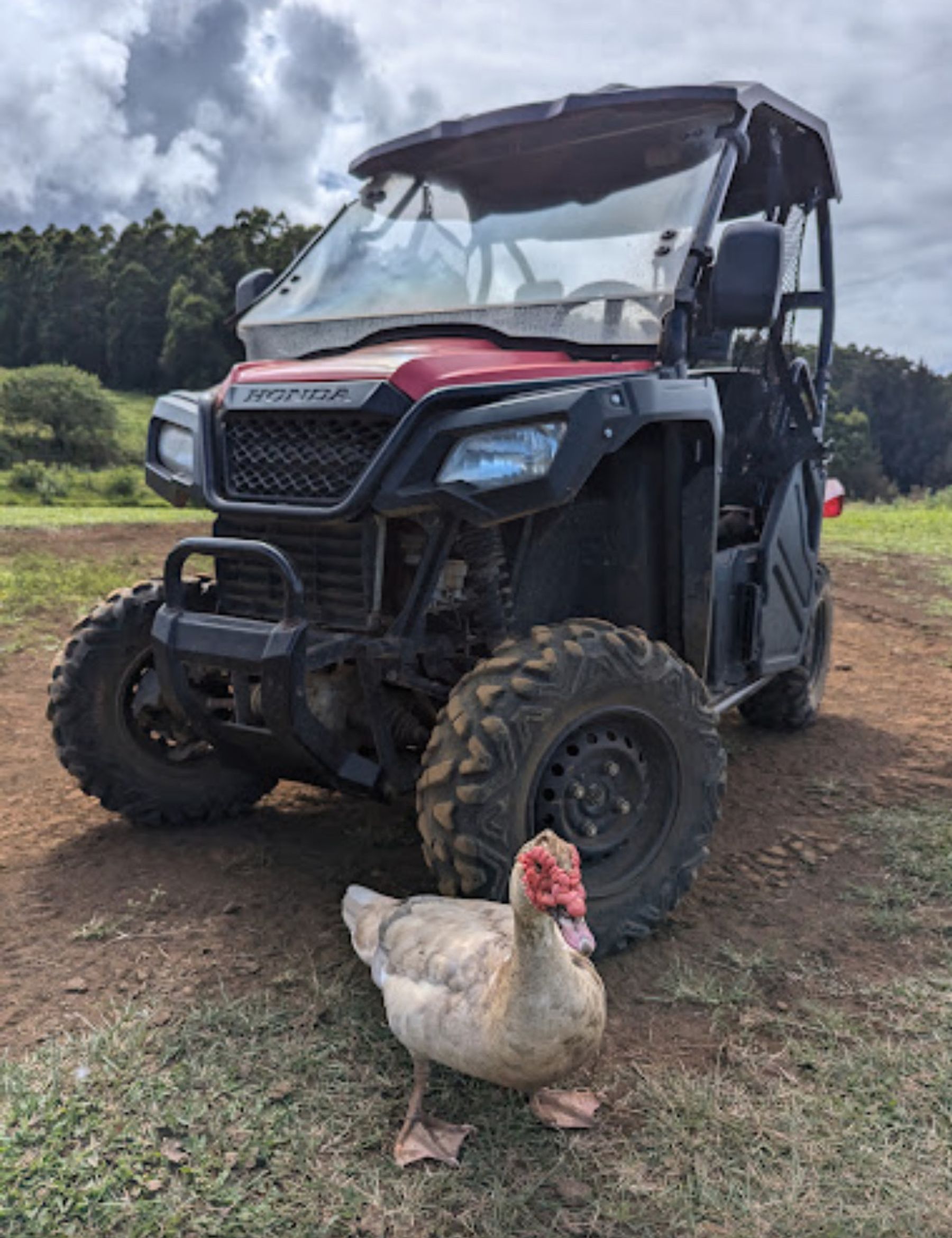 Photo 3 of All About the View ATV UTV Scenic Tour in Waipiʻo, Big Island