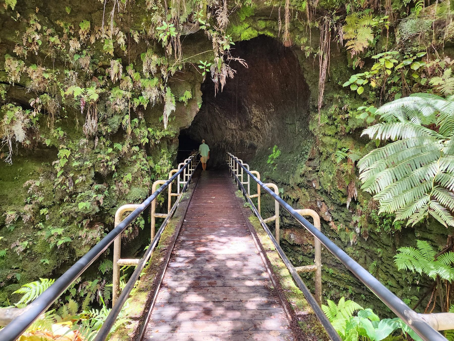 Photo 3 of Nāhuku Lava Tube in Volcano, Big Island