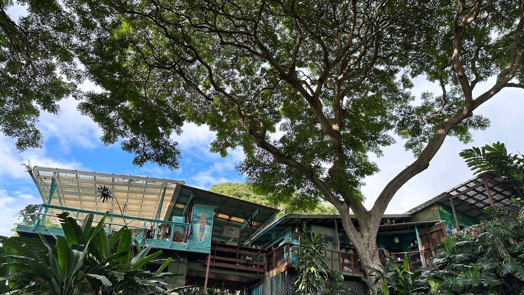 Photo 3 of Dragonfly Ranch in South Kona, Big-island