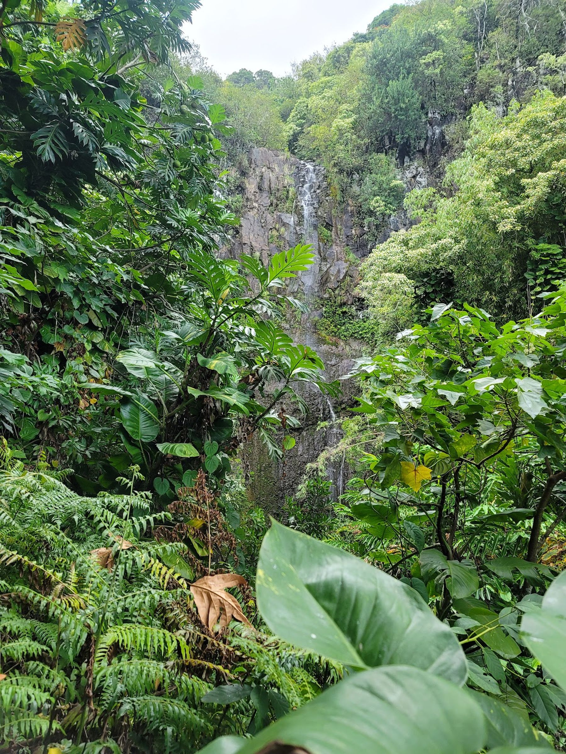 Photo 7 of Wailua Falls in Kīpahulu & Kaupō, Maui