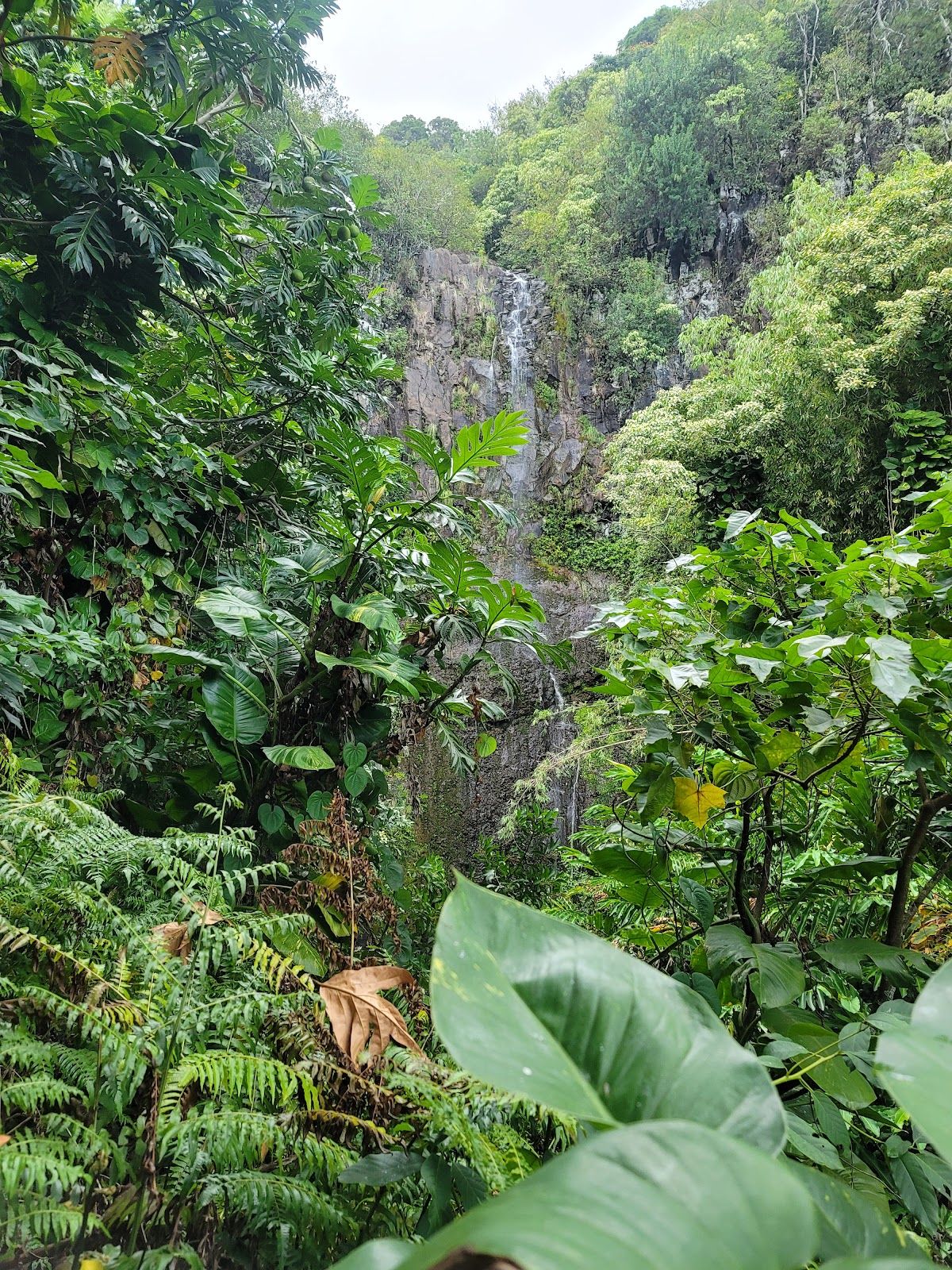 Photo 7 of Wailua Falls in Kīpahulu & Kaupō, Maui