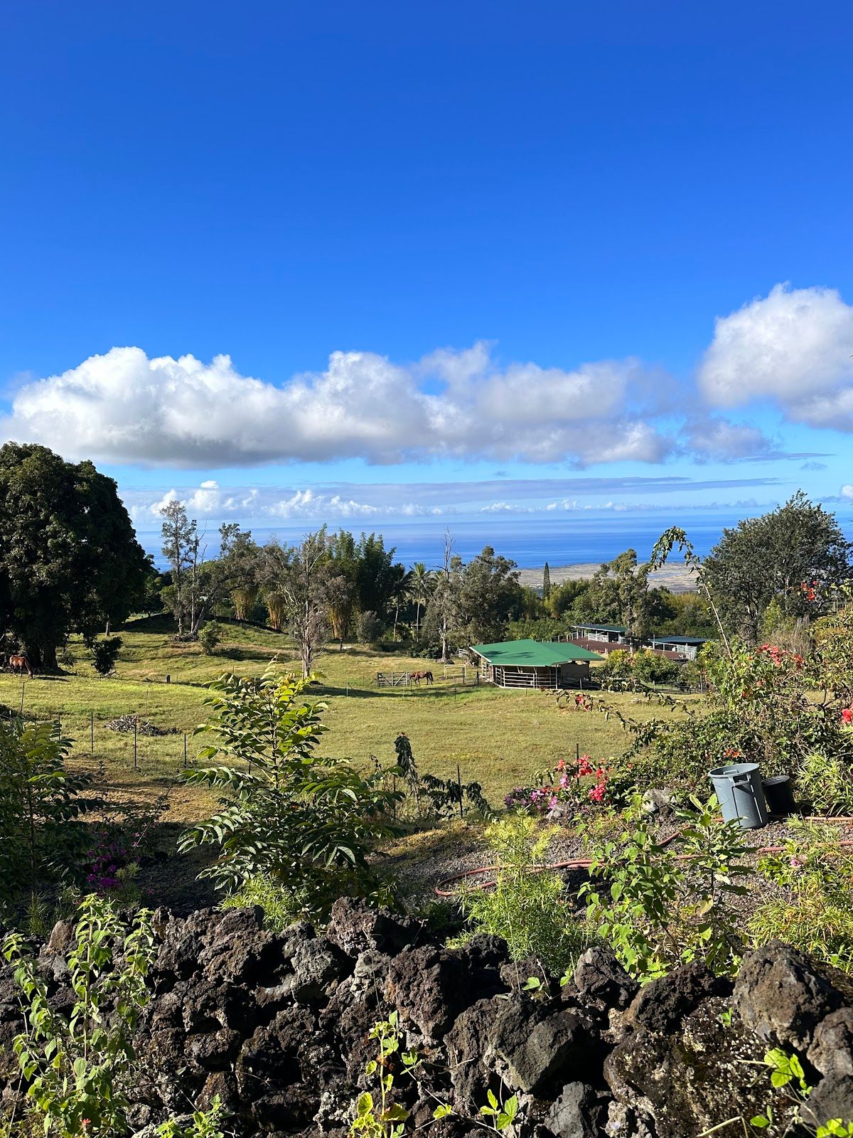 Photo 6 of Aeolian Ranch in Hōlualoa, Big-island