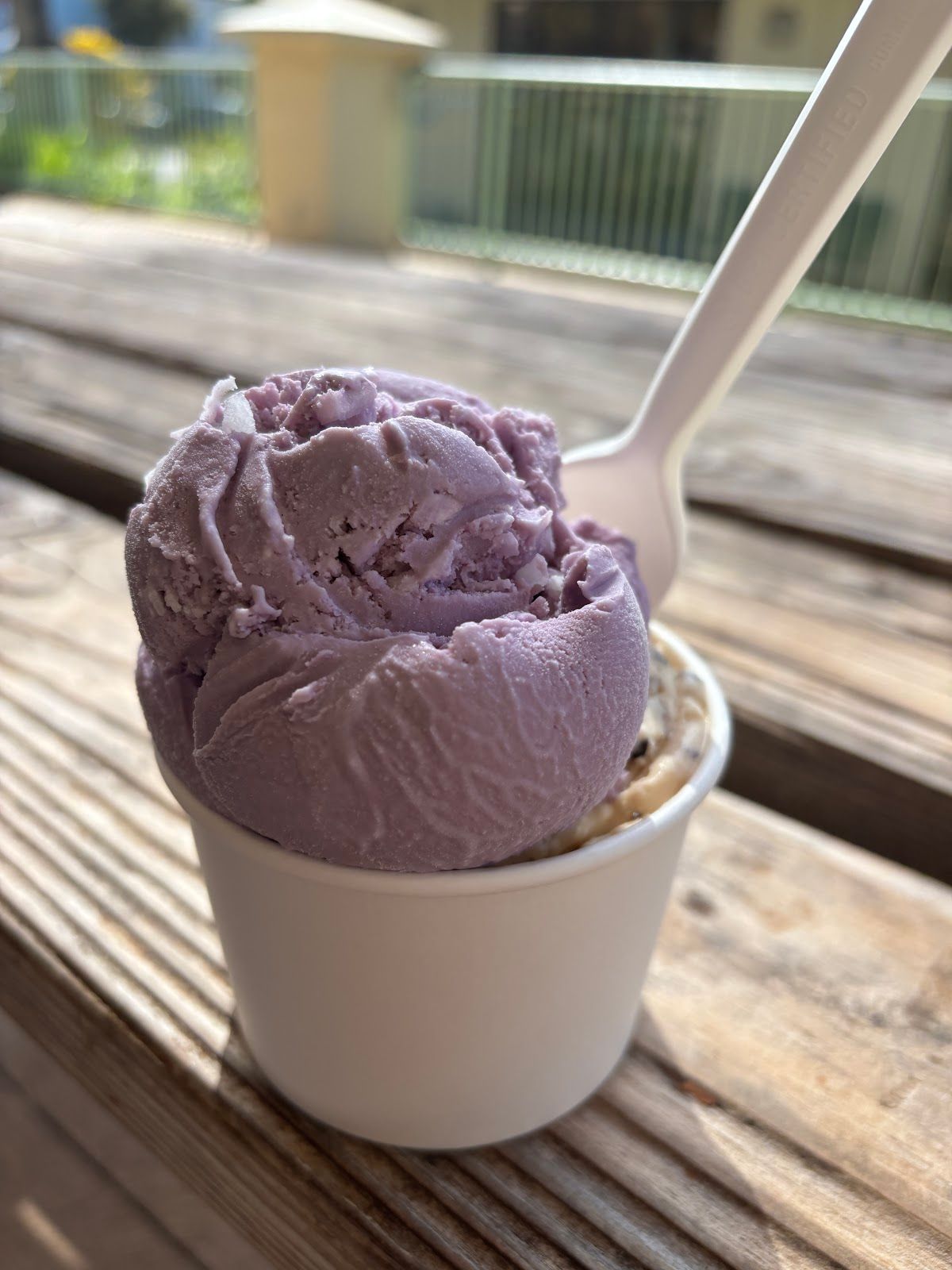 Photo 4 of Kauai Chocolate Company in Hanapēpē, Kauai