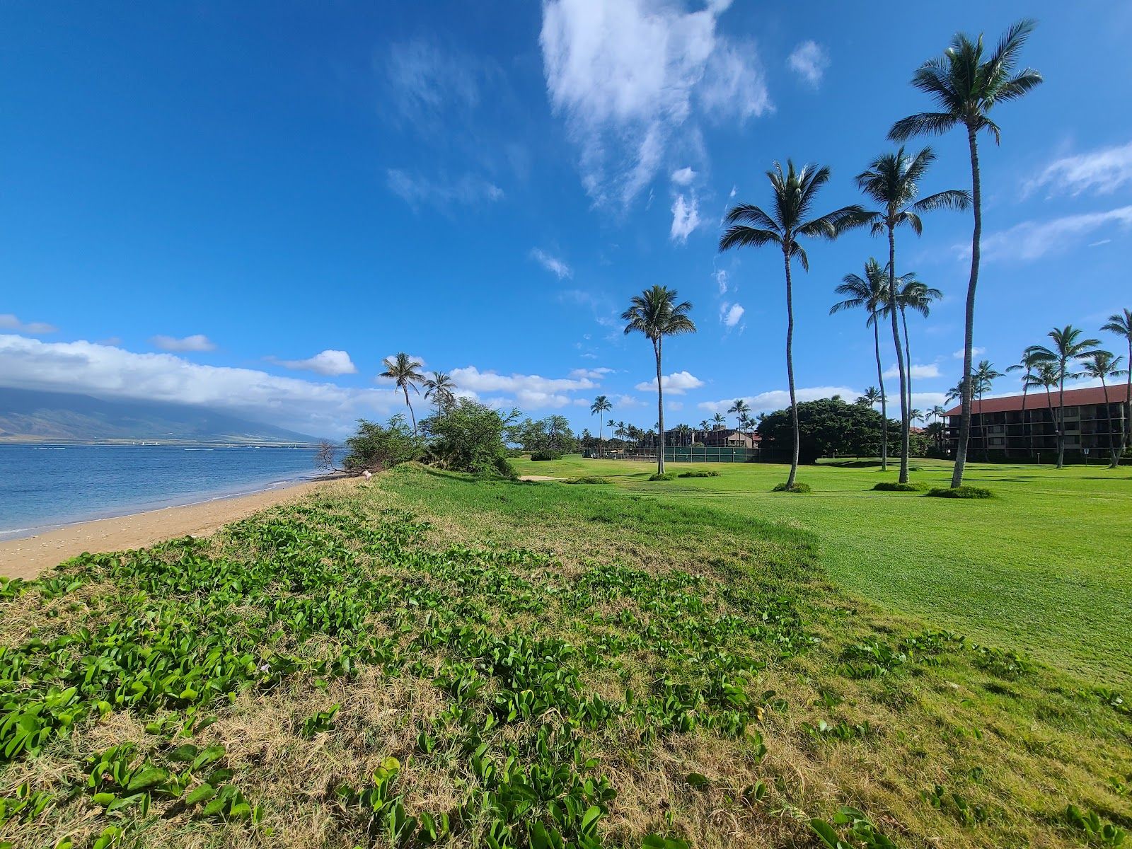 Photo 4 of Waipuilani Park in Kīhei, Maui