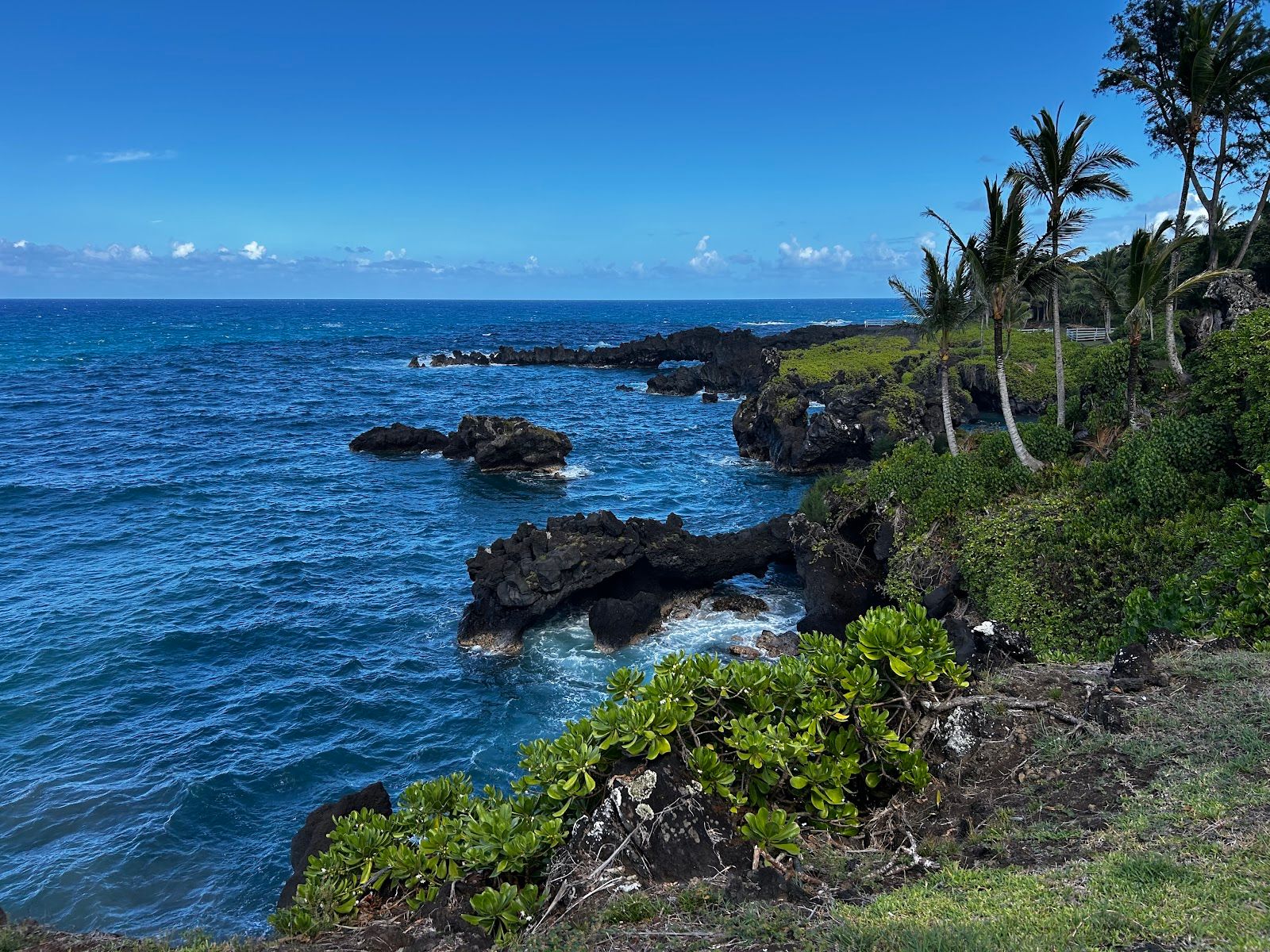 Photo 2 of Polynesian Adventure Tours in Kahului, Maui