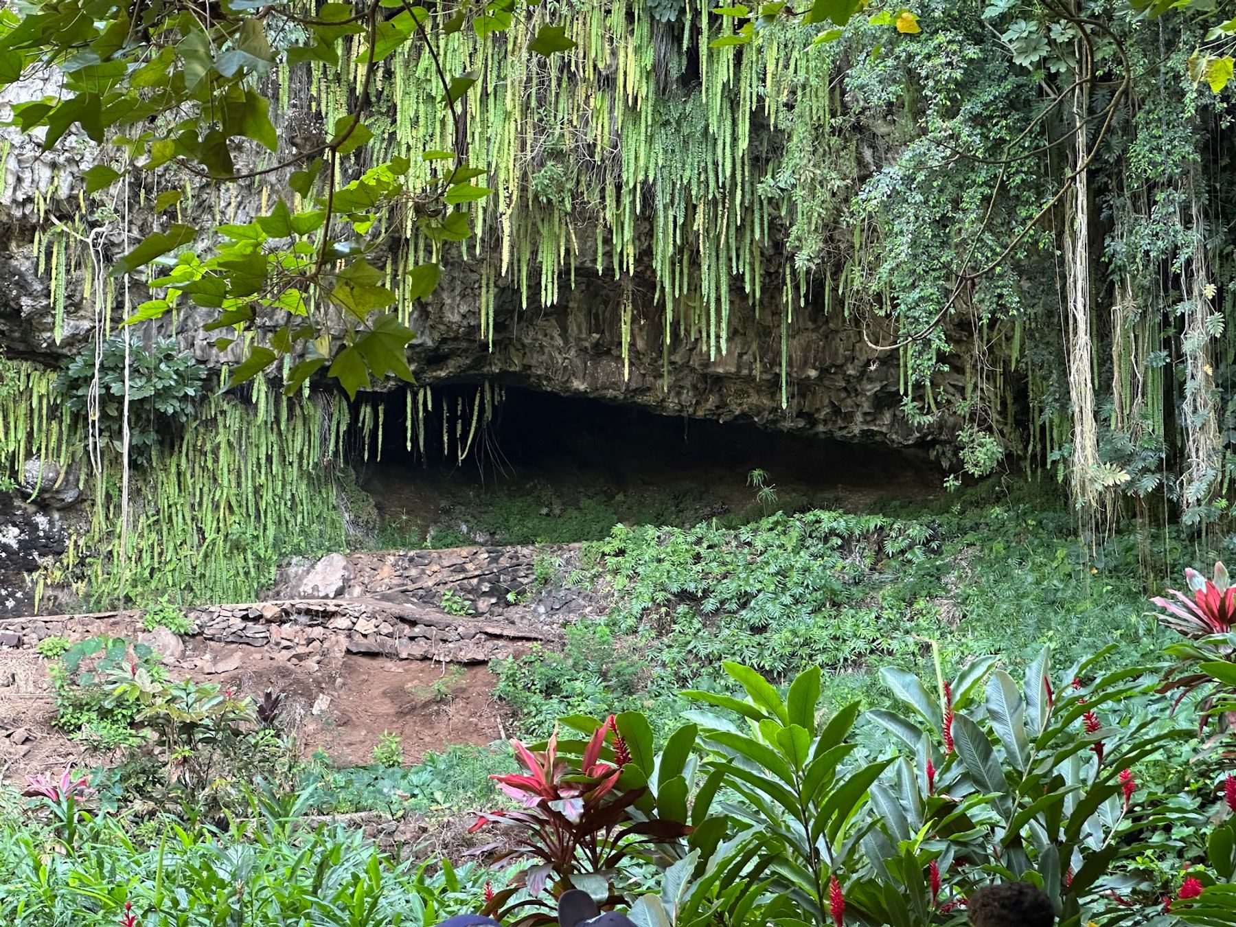 Smith's Fern Grotto Tour in Kapaʻa, Kaua‘i photo 2