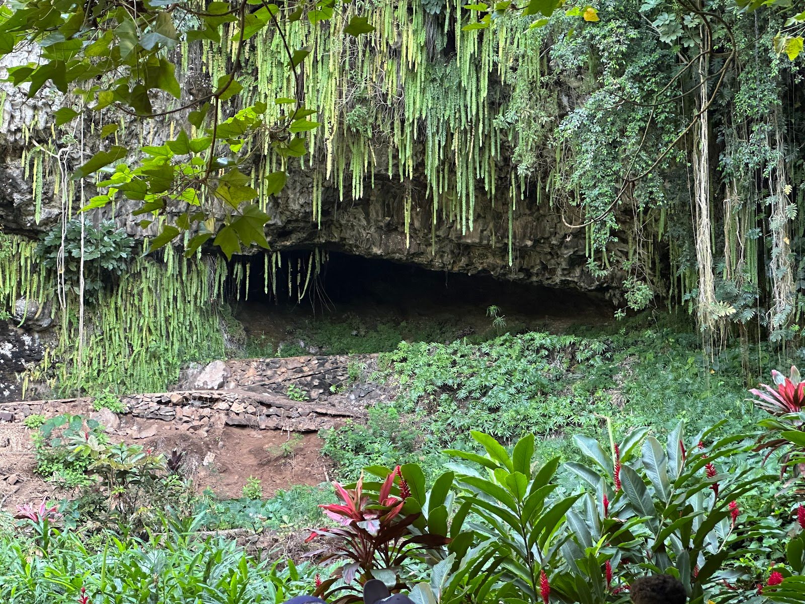 Smith's Fern Grotto Tour in Kapaʻa, Kaua‘i photo 2