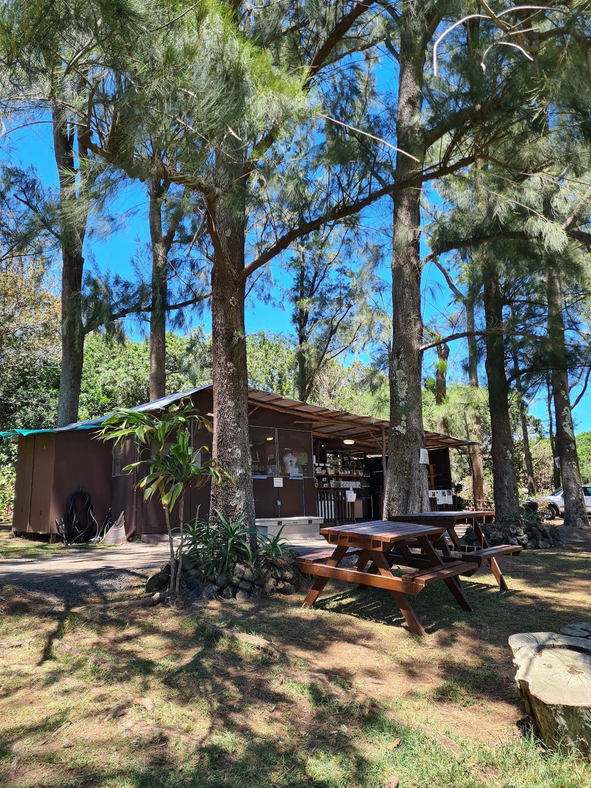 Photo 6 of Paradise Meadows Orchard and Bee Farm, Home of Hawaii's Local Buzz in South Point, Big Island