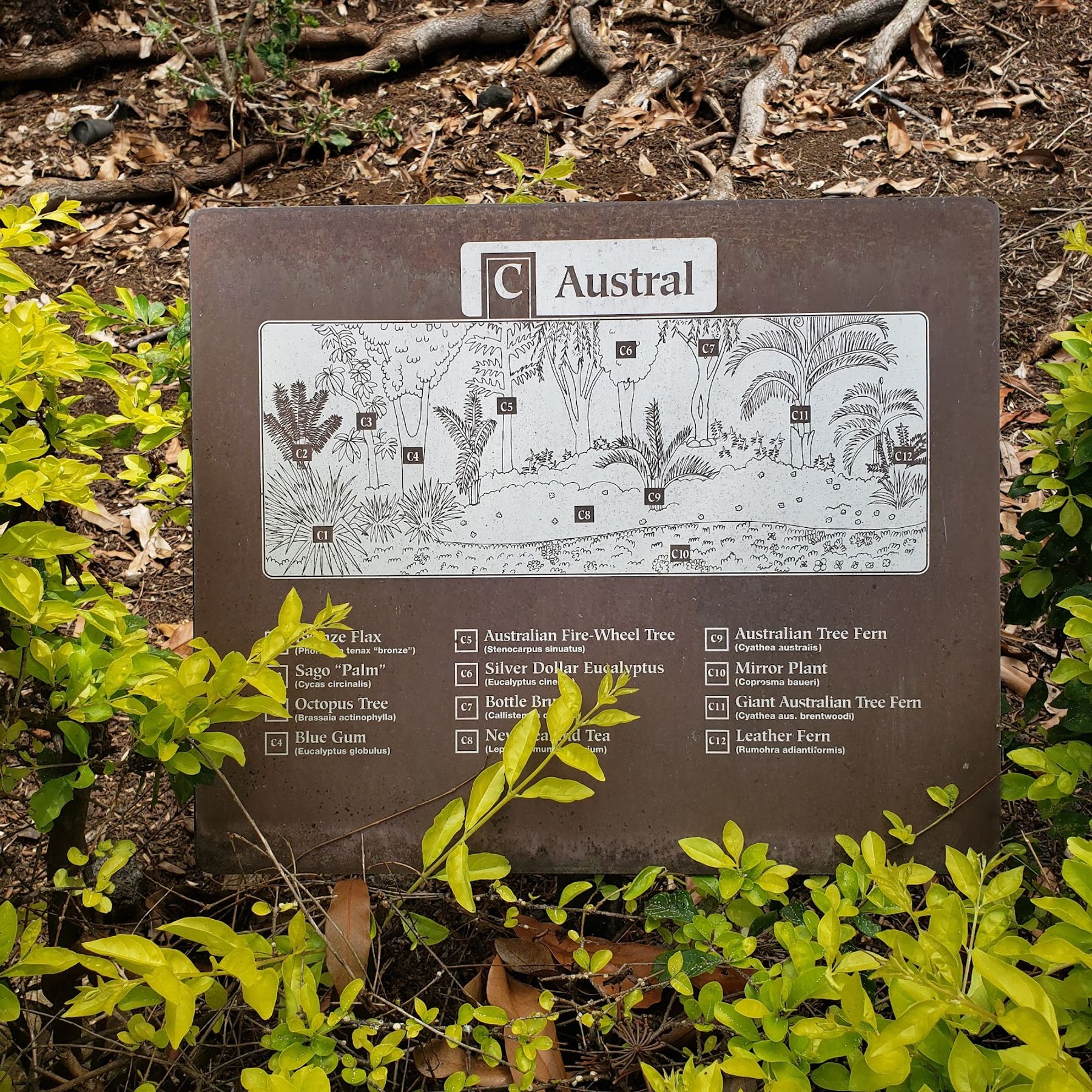 Photo 7 of Sadie Seymour Botanical Gardens and the Kona Educational Center in Kailua-Kona, Big Island