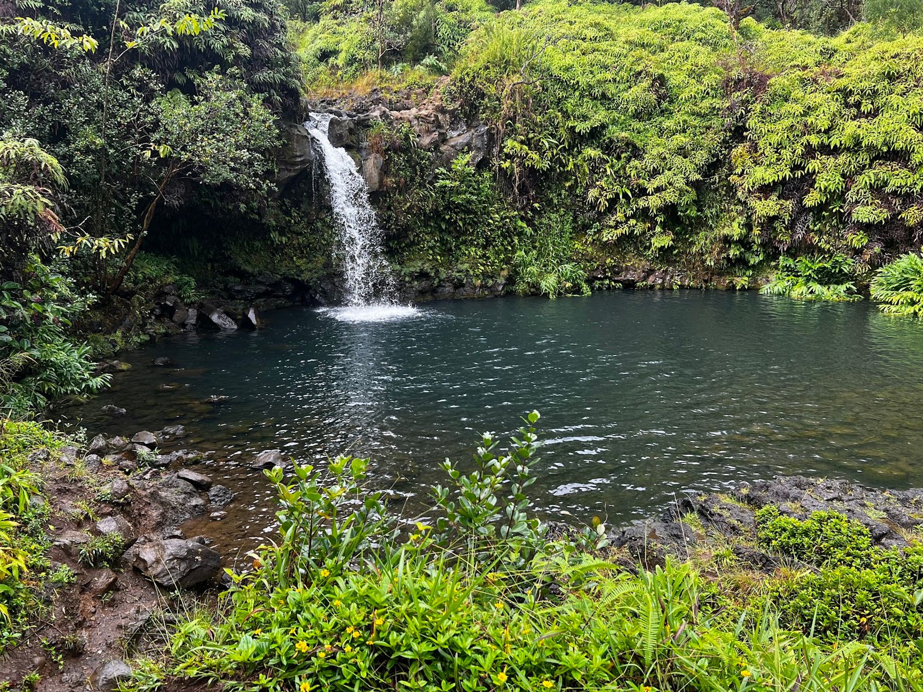 Photo 4 of Epic Maui Hikes in Kīhei, Maui