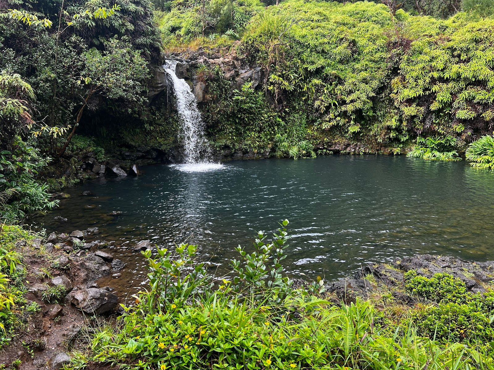 Photo 4 of Epic Maui Hikes in Kīhei, Maui