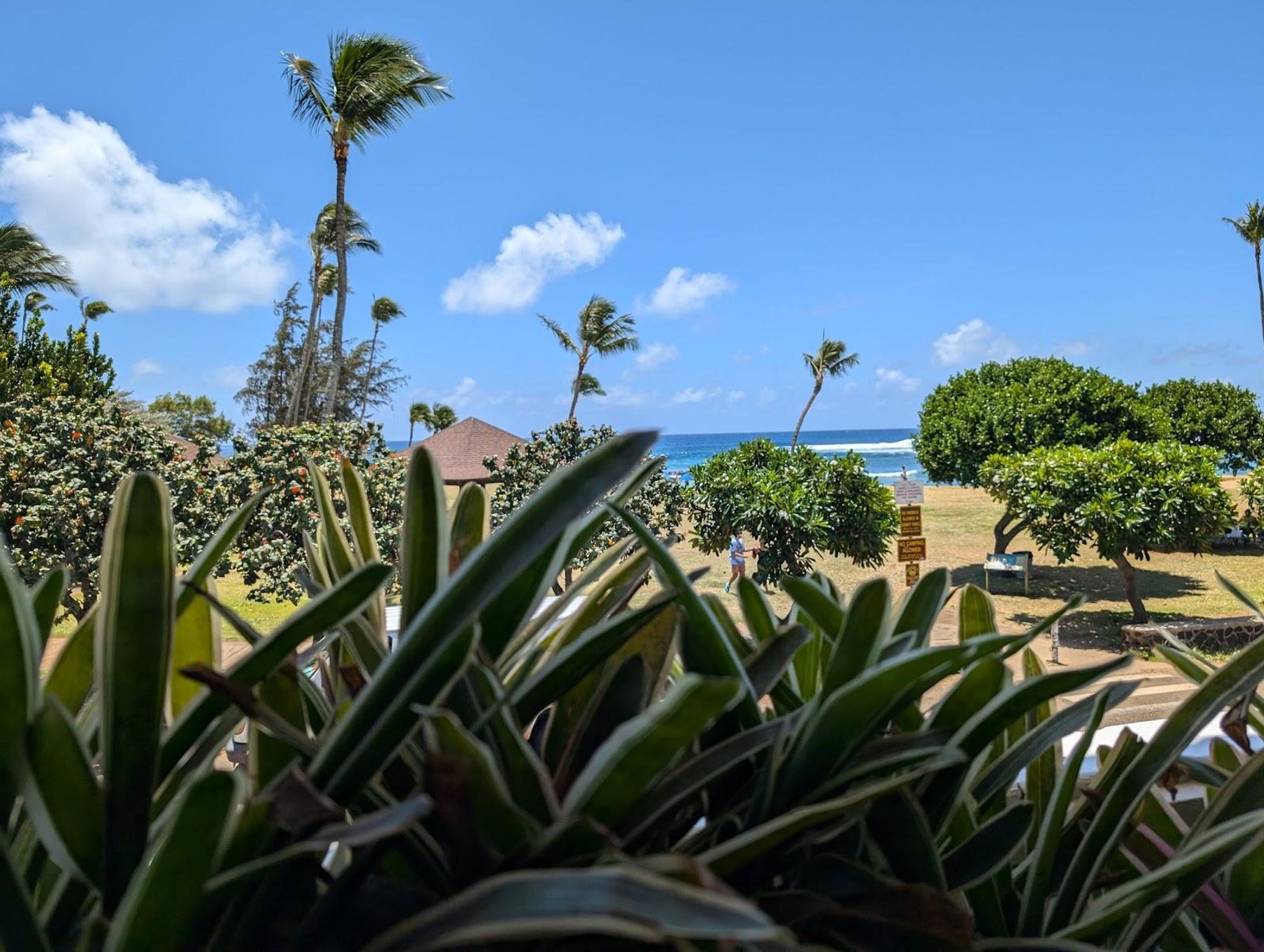 Brennecke's Beach Broiler restaurant in Poʻipū, Kaua‘i photo 7