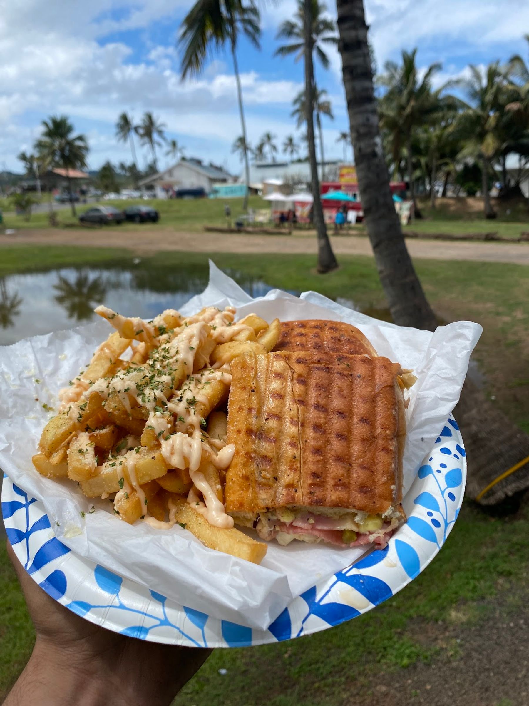 Photo 9 of The Beach Bus in Kahuku & Turtle Bay, Oahu