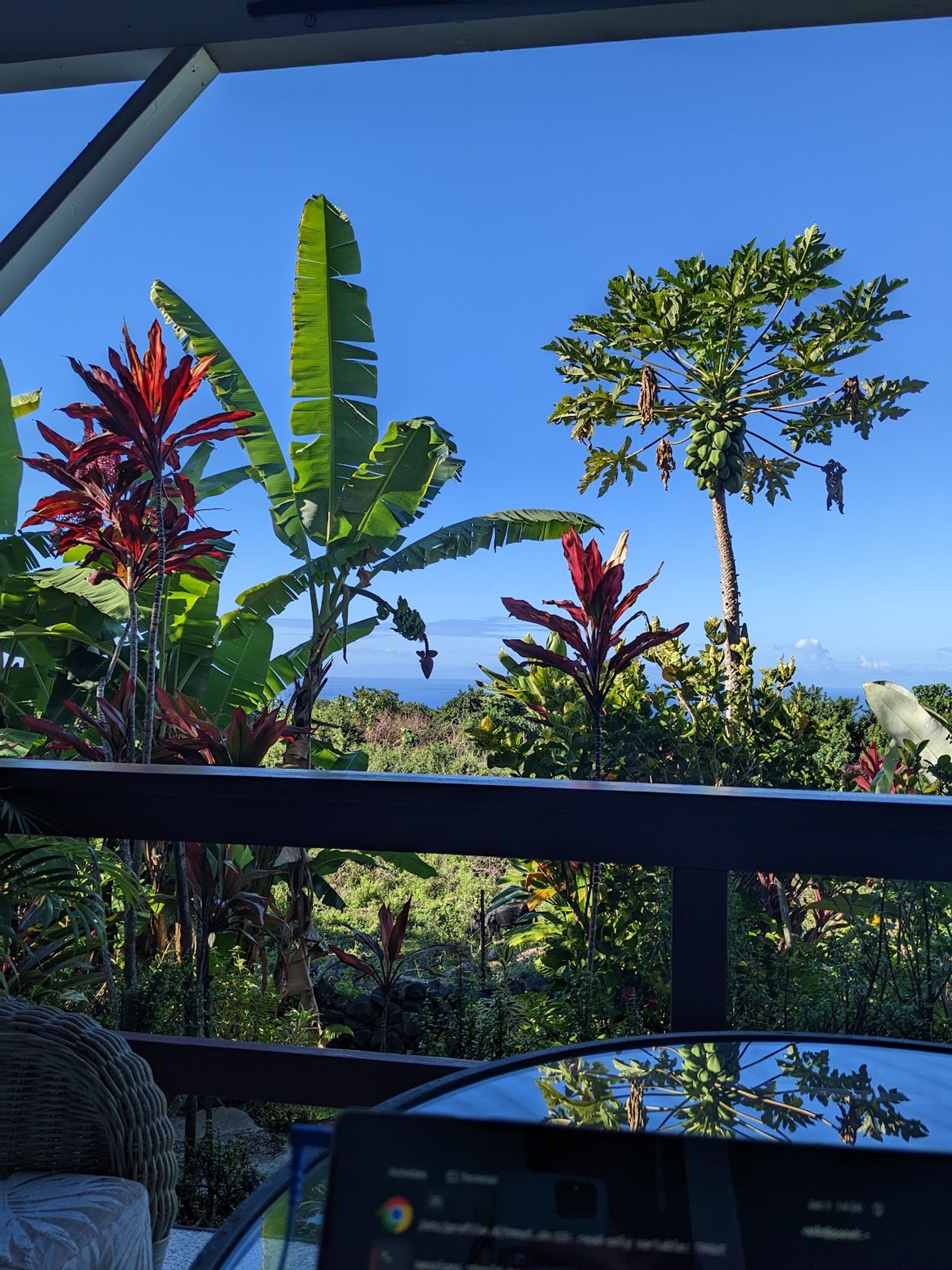 Photo 9 of Hale Hoola B&B in South Kona, Big-island
