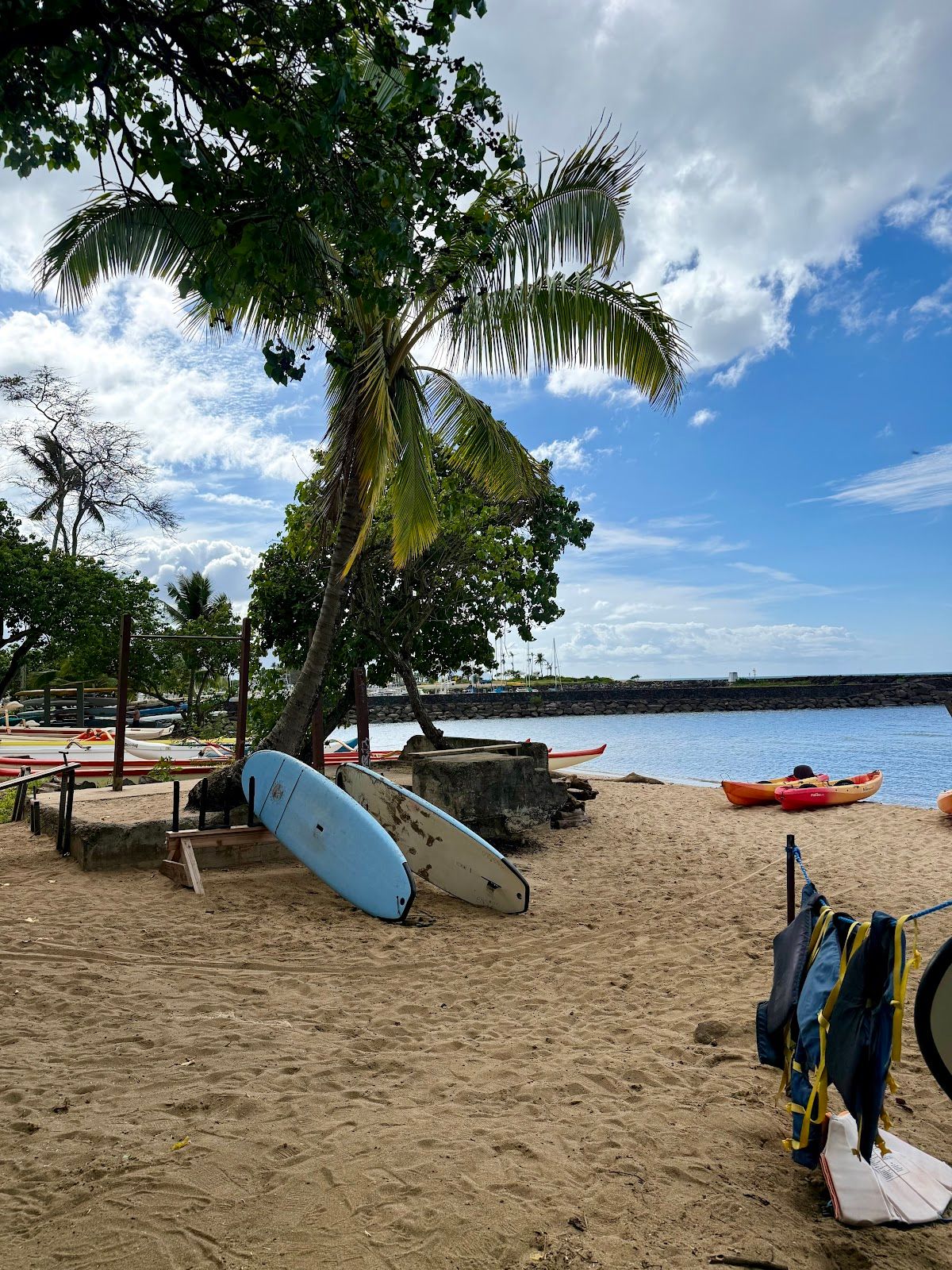 Photo 8 of The Original North Shore Activities Tour in Waikīkī, Oahu