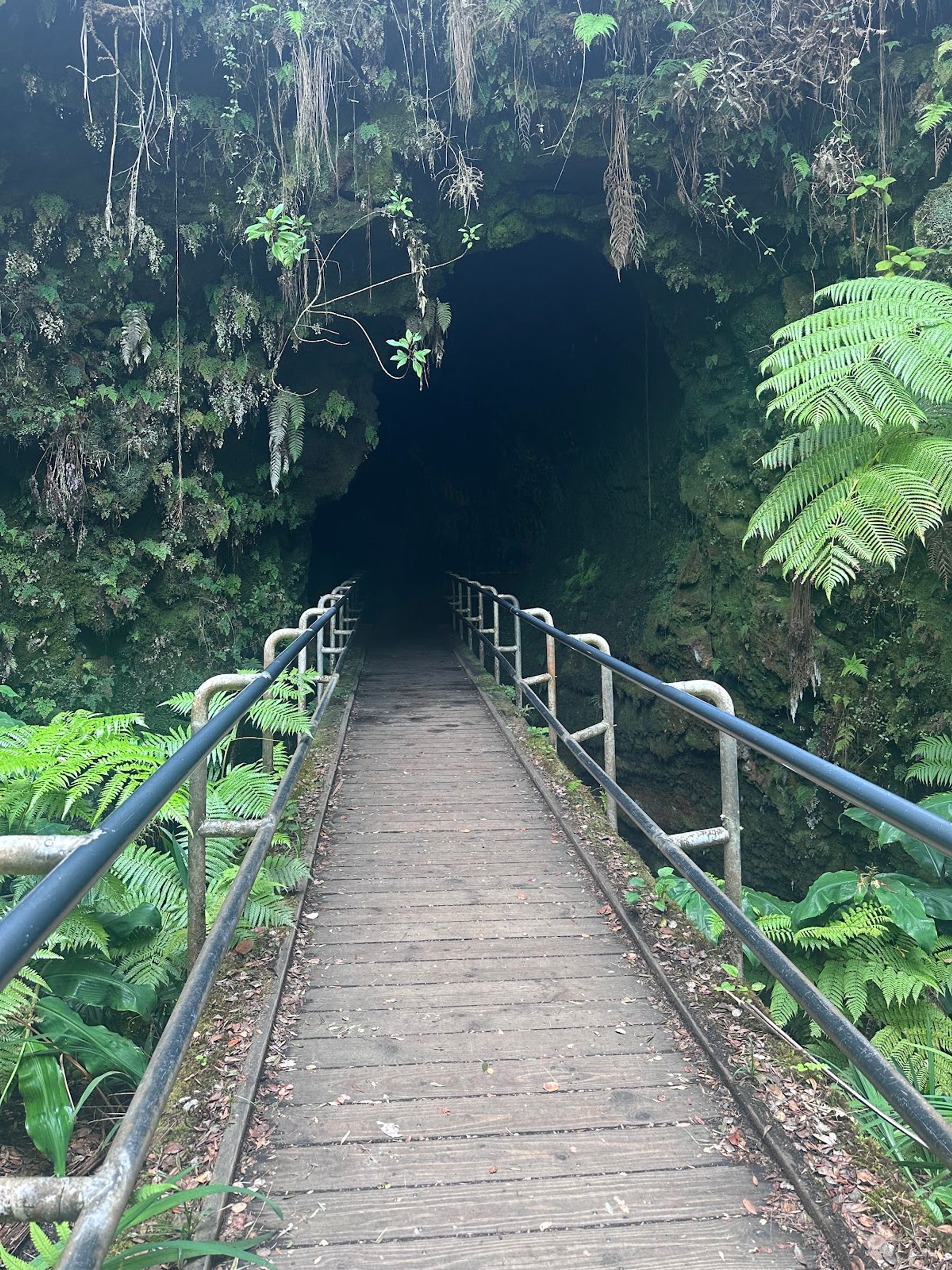 Photo 9 of Show You Hawaii in Kailua-Kona, Big Island