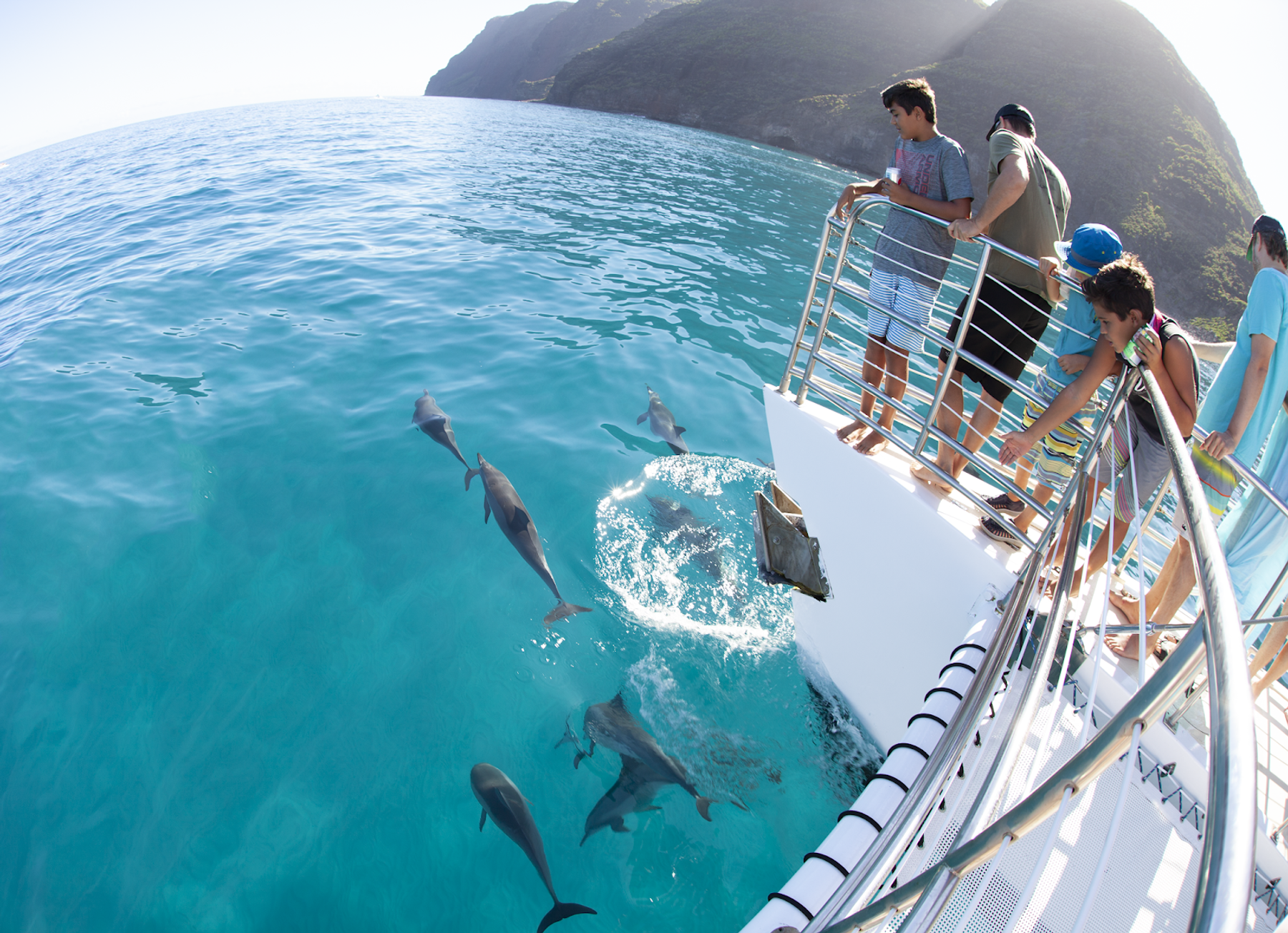 Kauai Sea Tours in Eleele, Kaua‘i