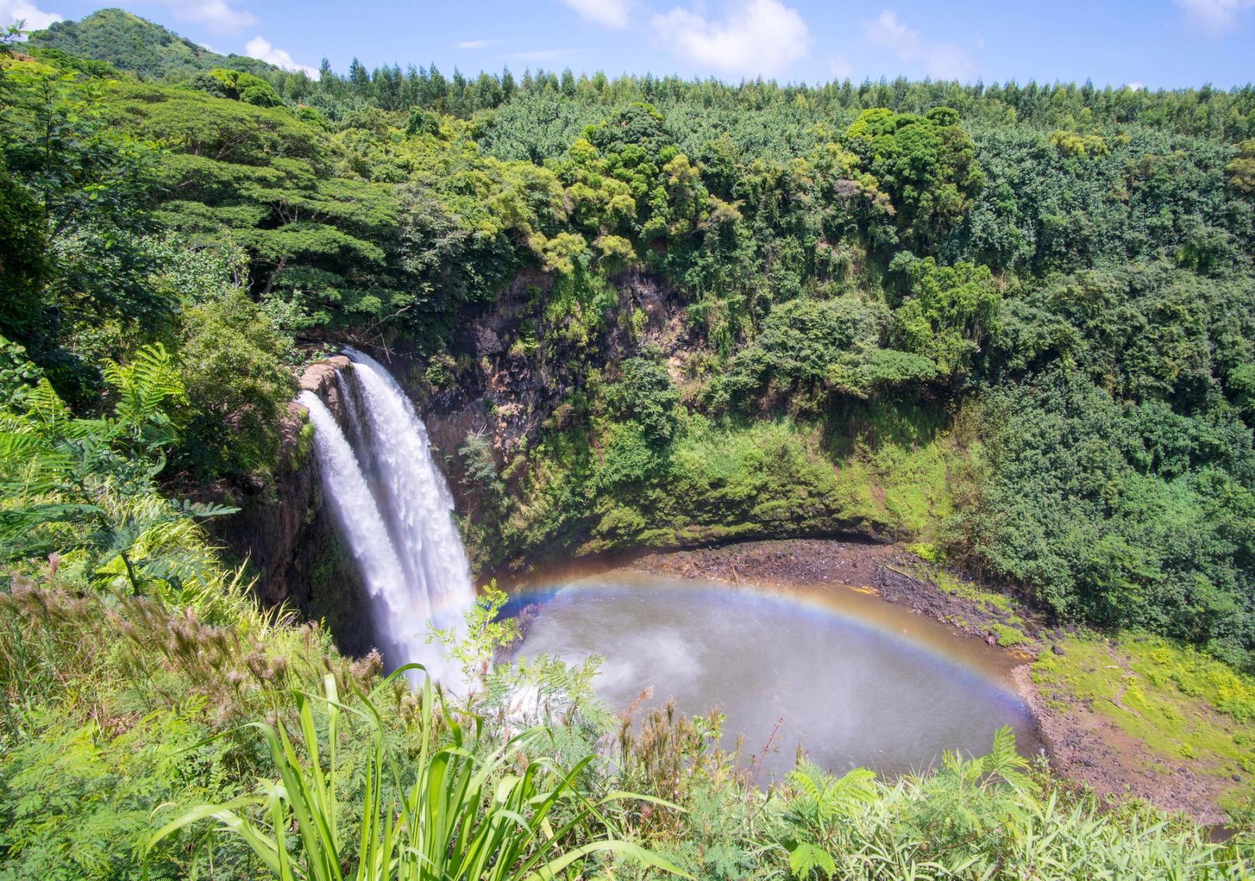Wailua Falls from the scenic overlook