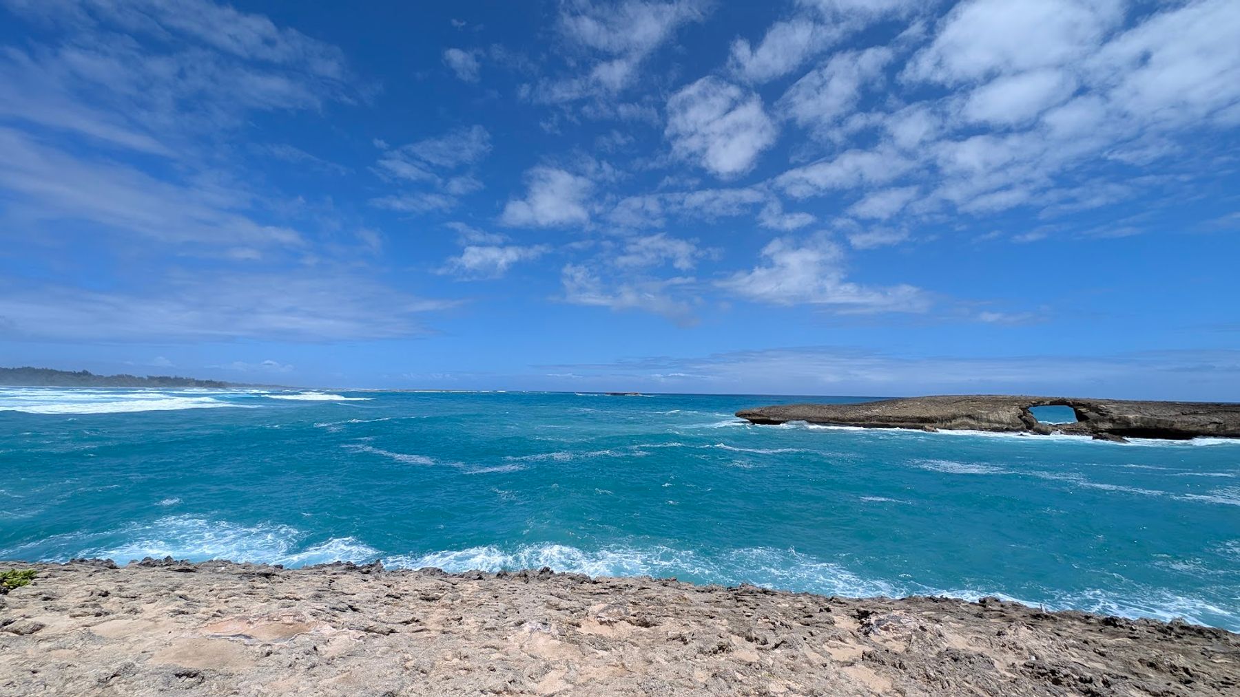 Photo 9 of Lāʻie Point State Wayside in Lāʻie, Oahu